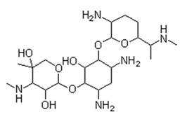 Antibiotics 13 01111 i003
