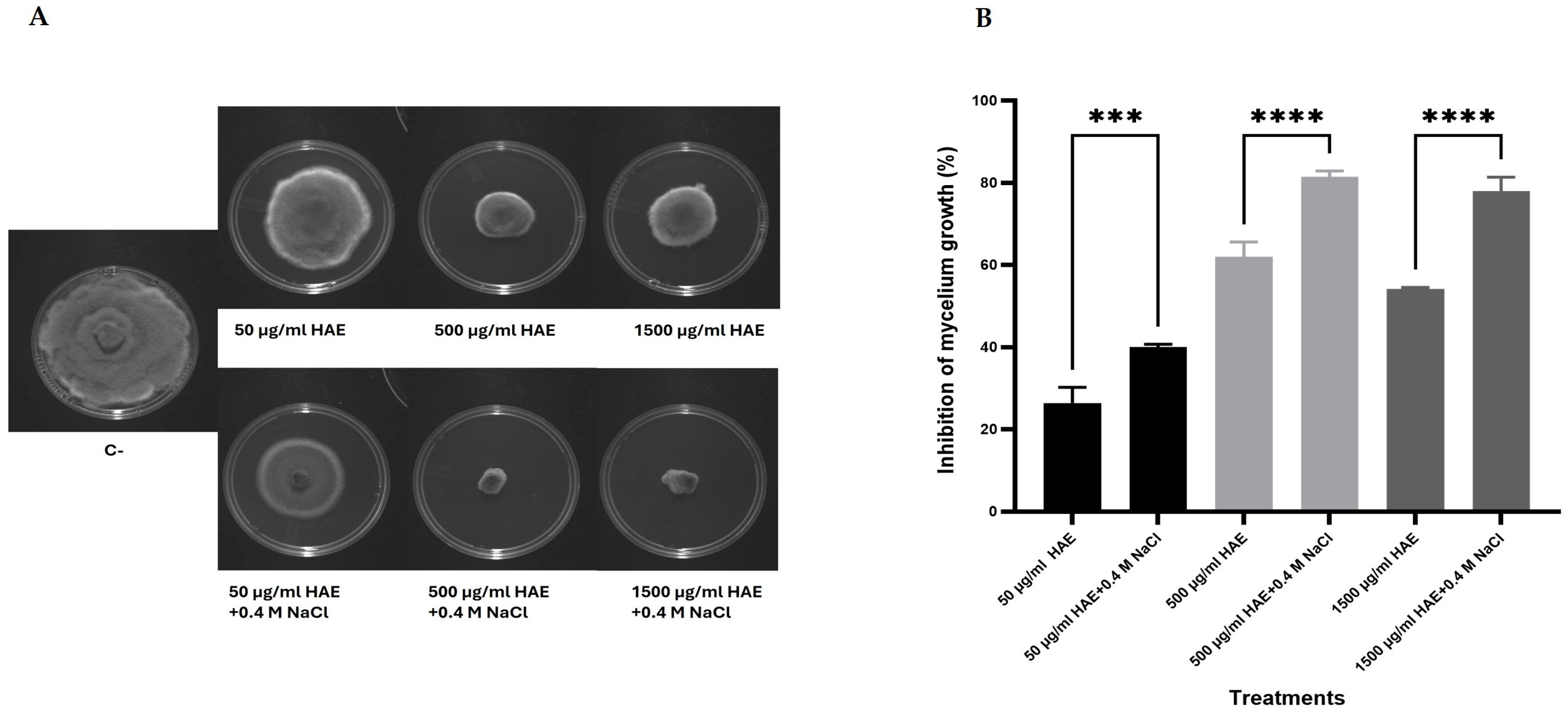 Antibiotics 13 01116 g004