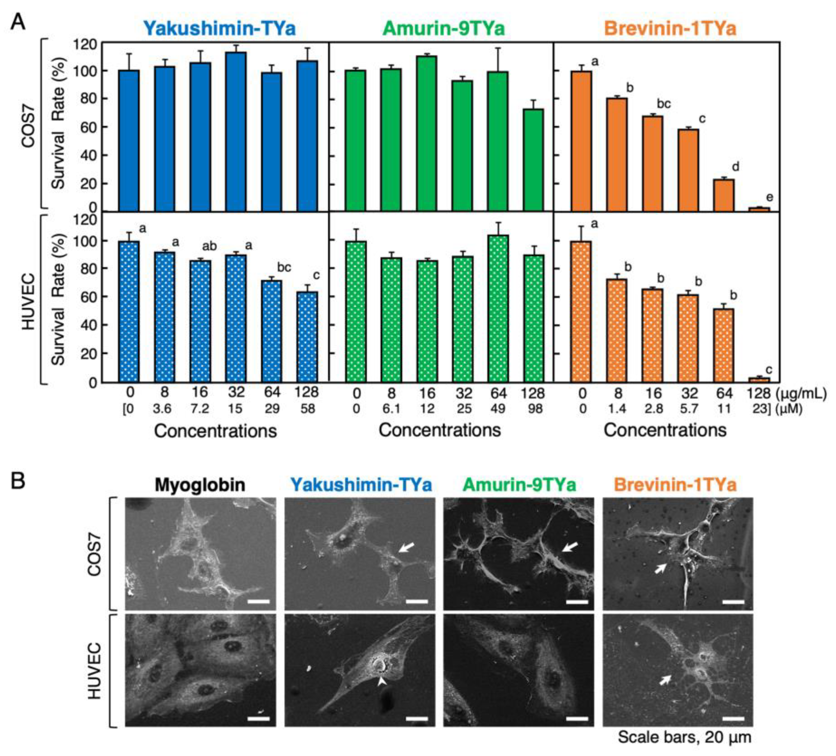 Antibiotics 13 01127 g008