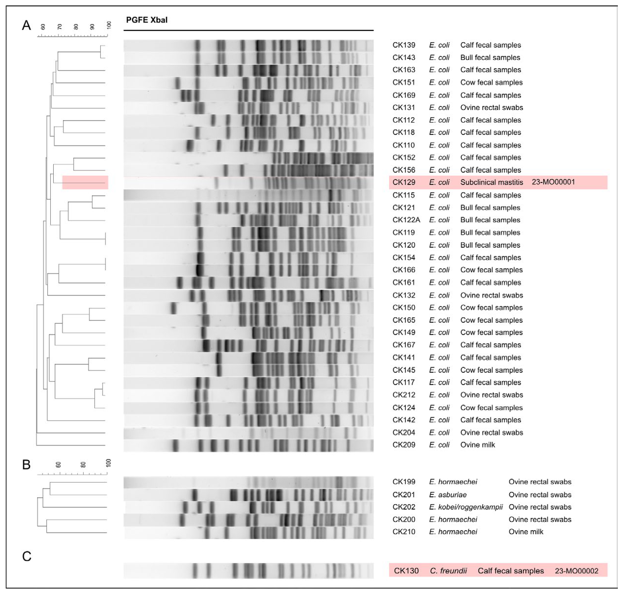 Antibiotics 13 01134 g001