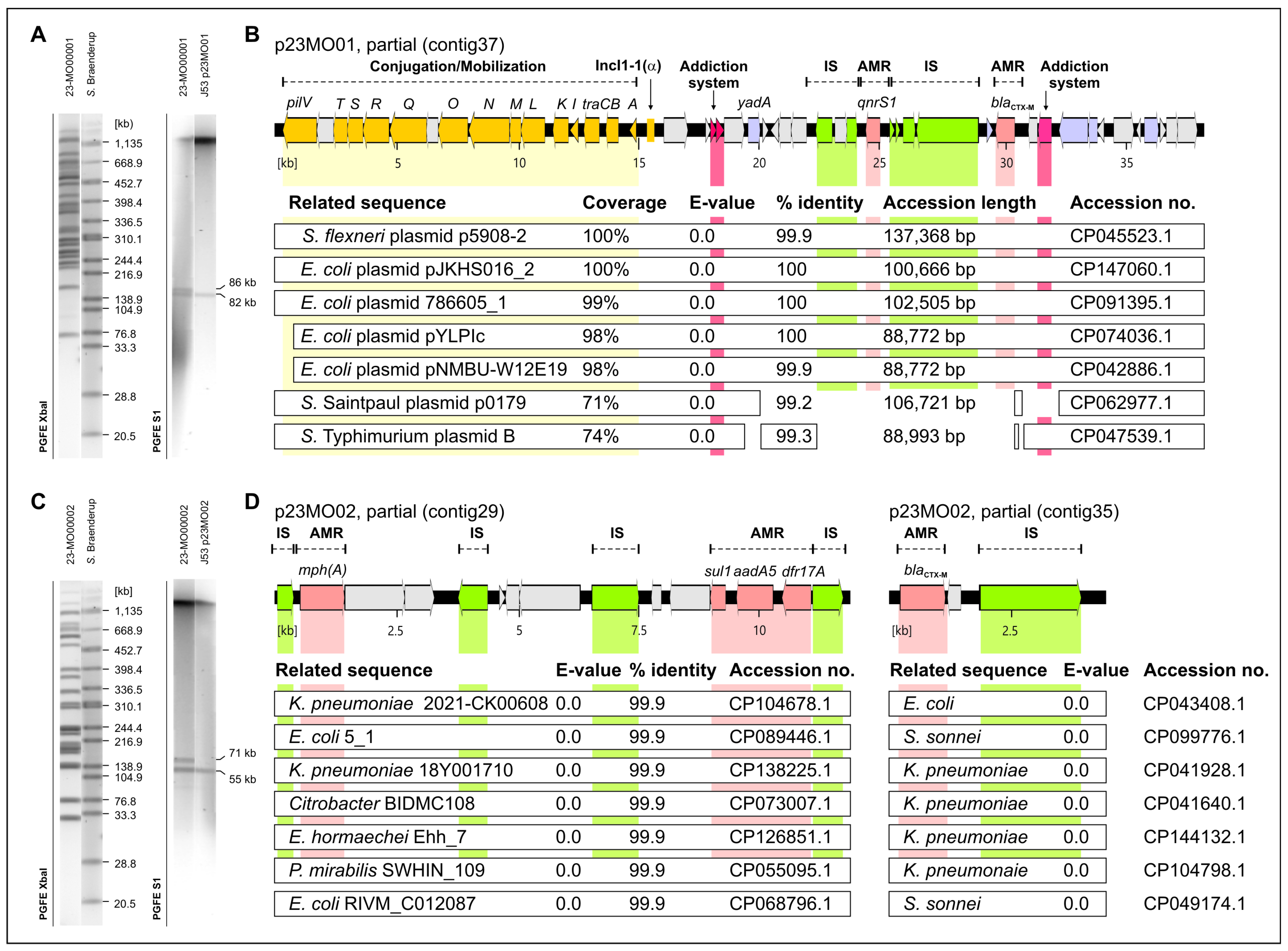 Antibiotics 13 01134 g002