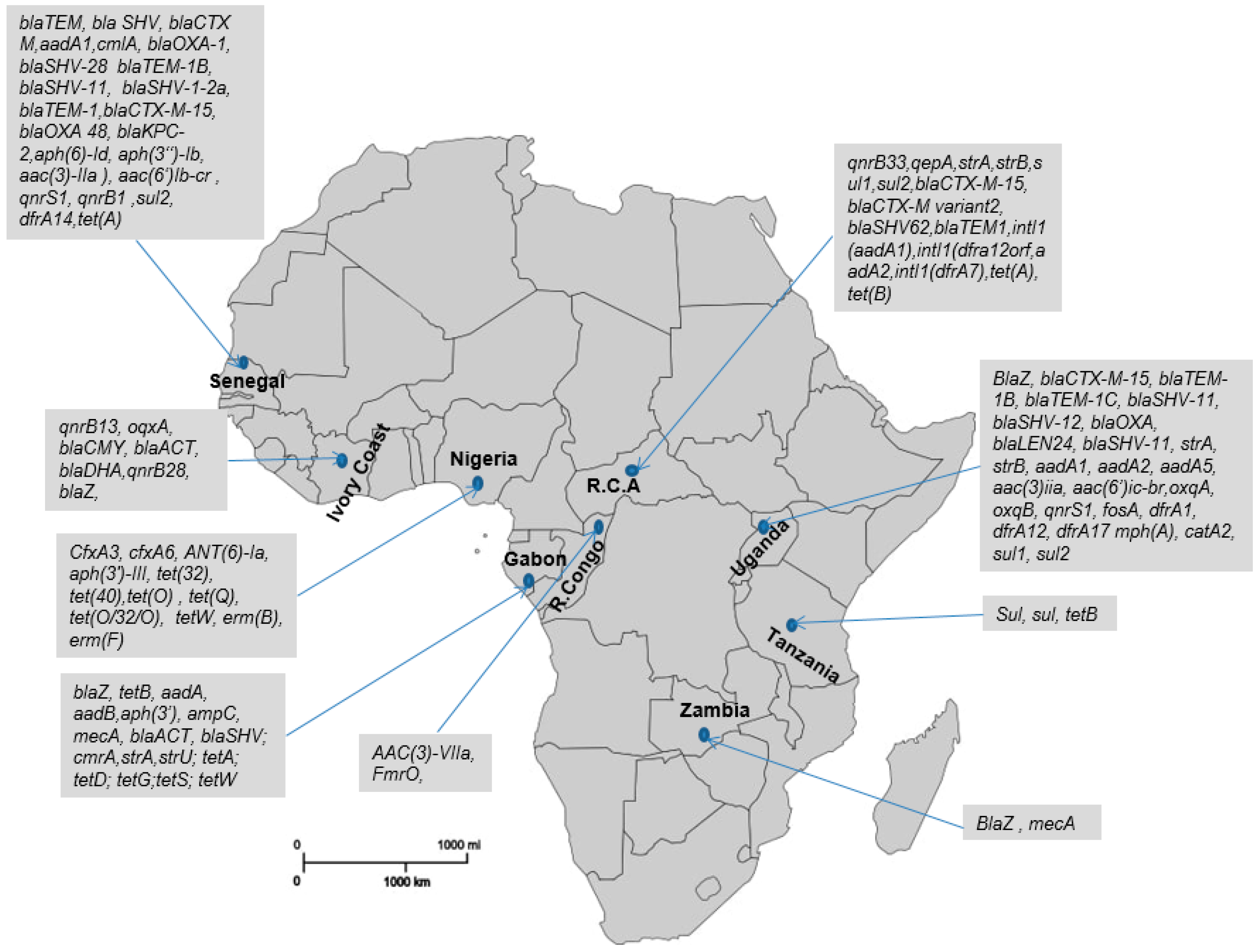 Antibiotics 13 01140 g001 Antibiotics 13 01140 g001