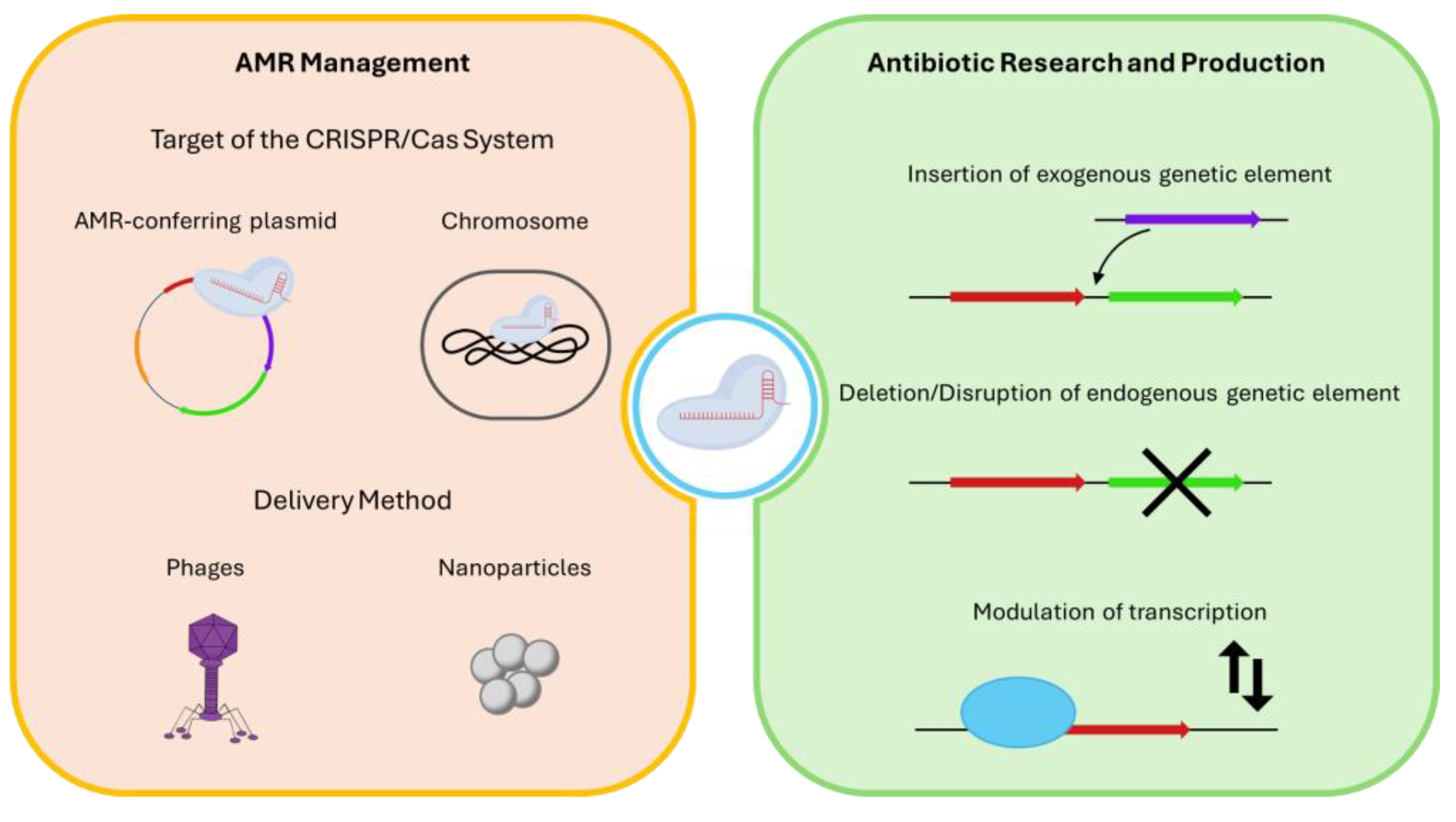 Antibiotics 13 01141 g002
