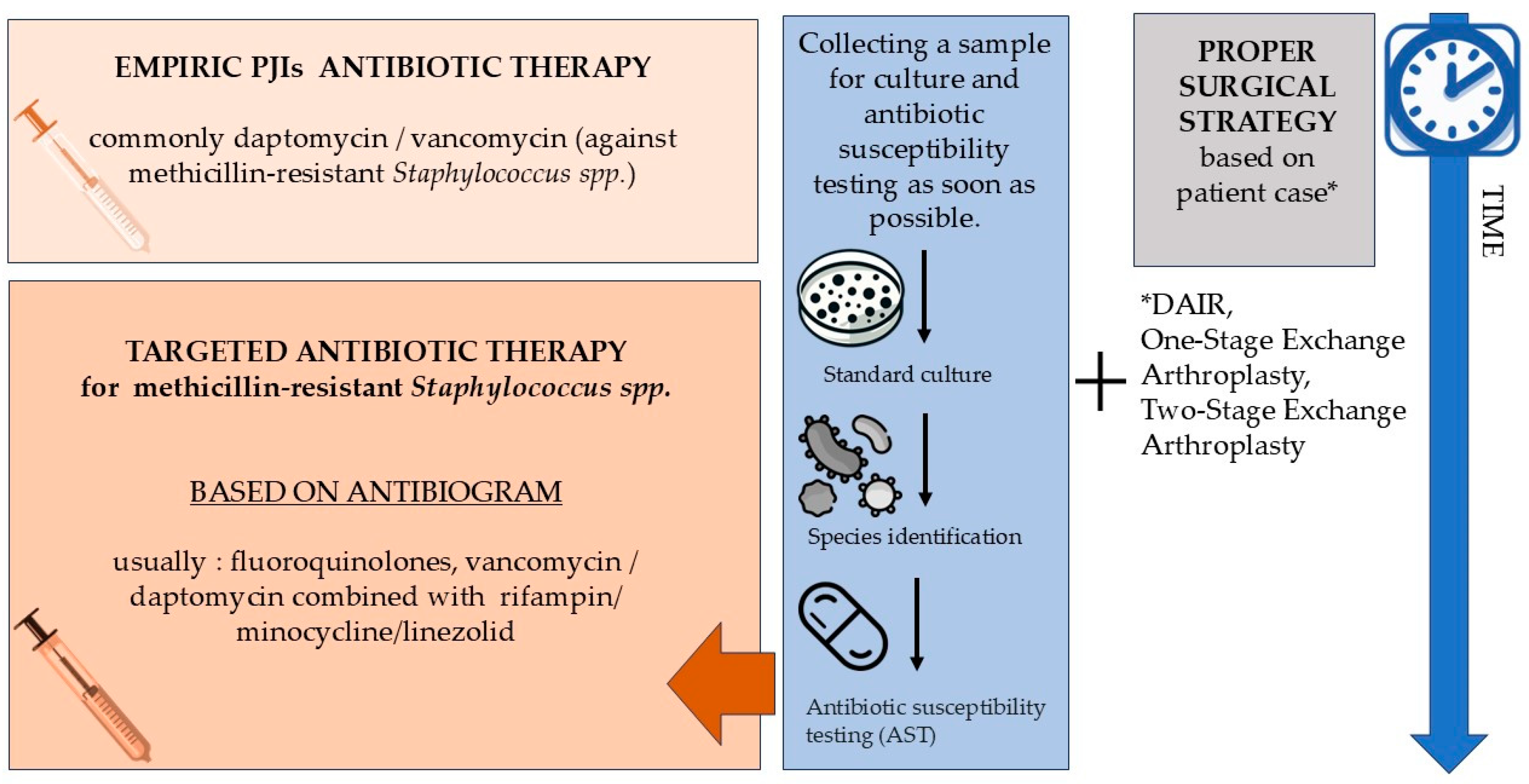 Antibiotics 13 01151 g001
