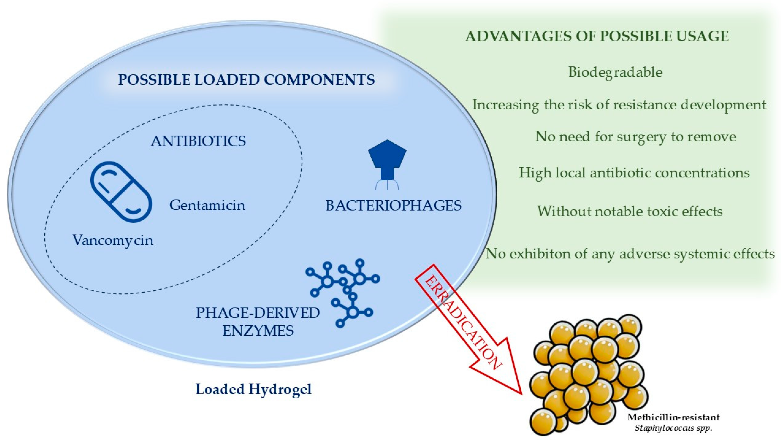 Antibiotics 13 01151 g002