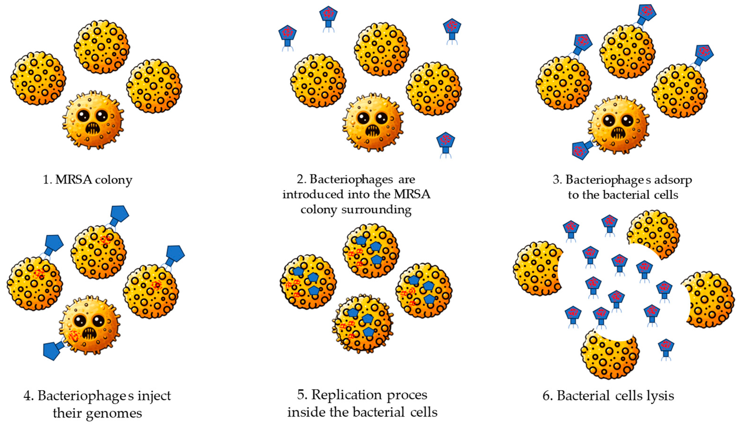 Antibiotics 13 01151 g004