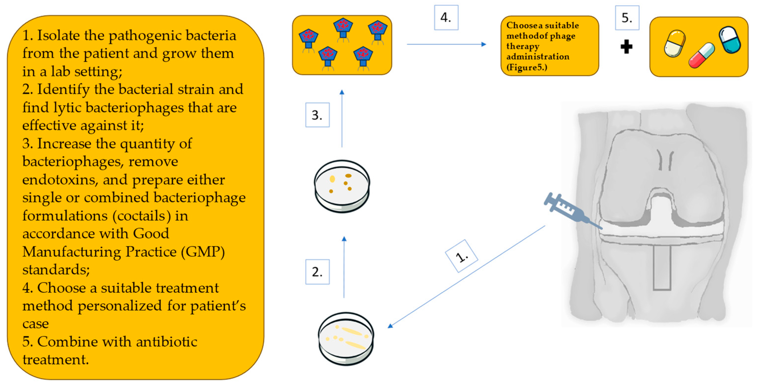 Antibiotics 13 01151 g005