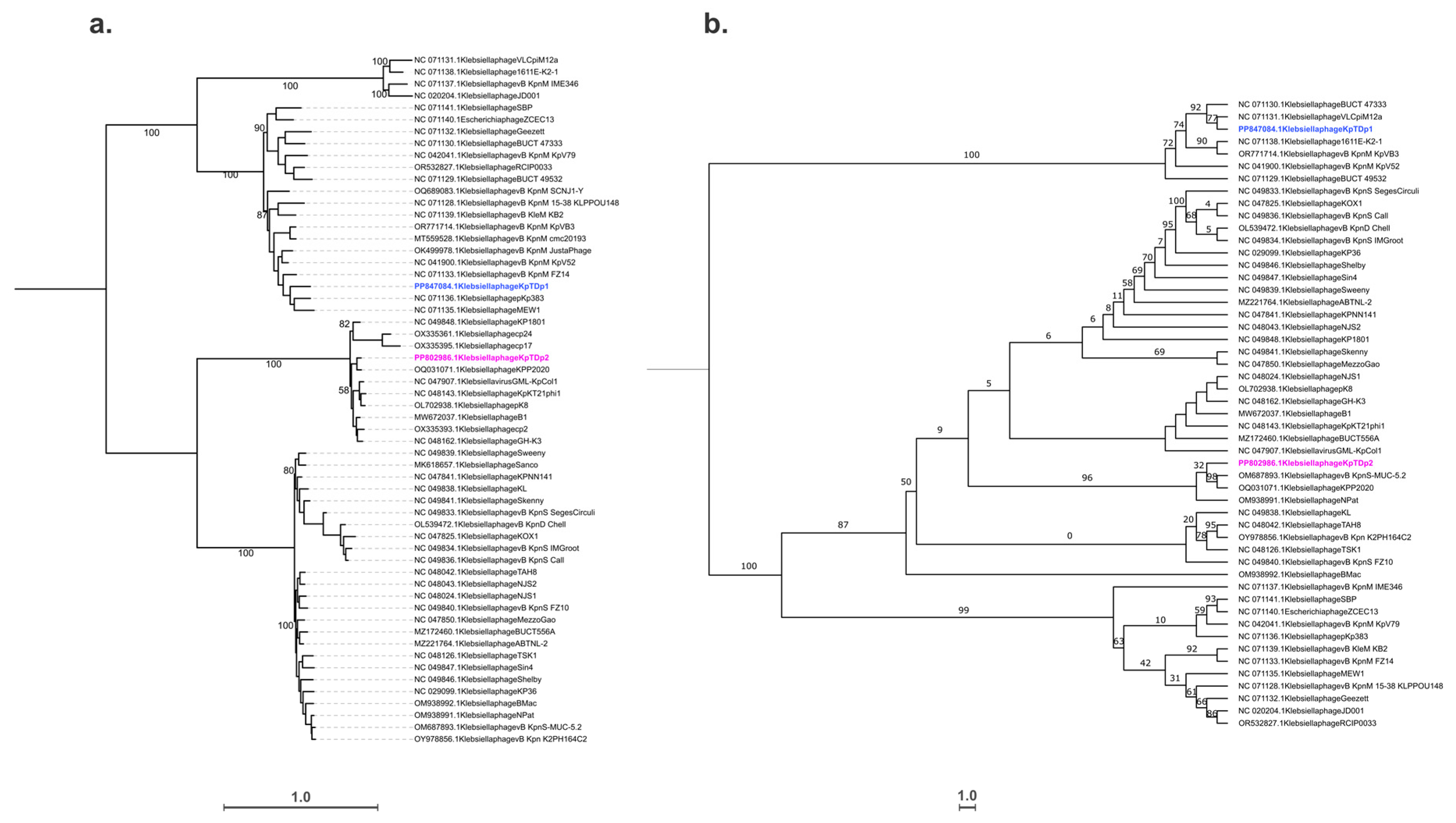 Antibiotics 13 01154 g005