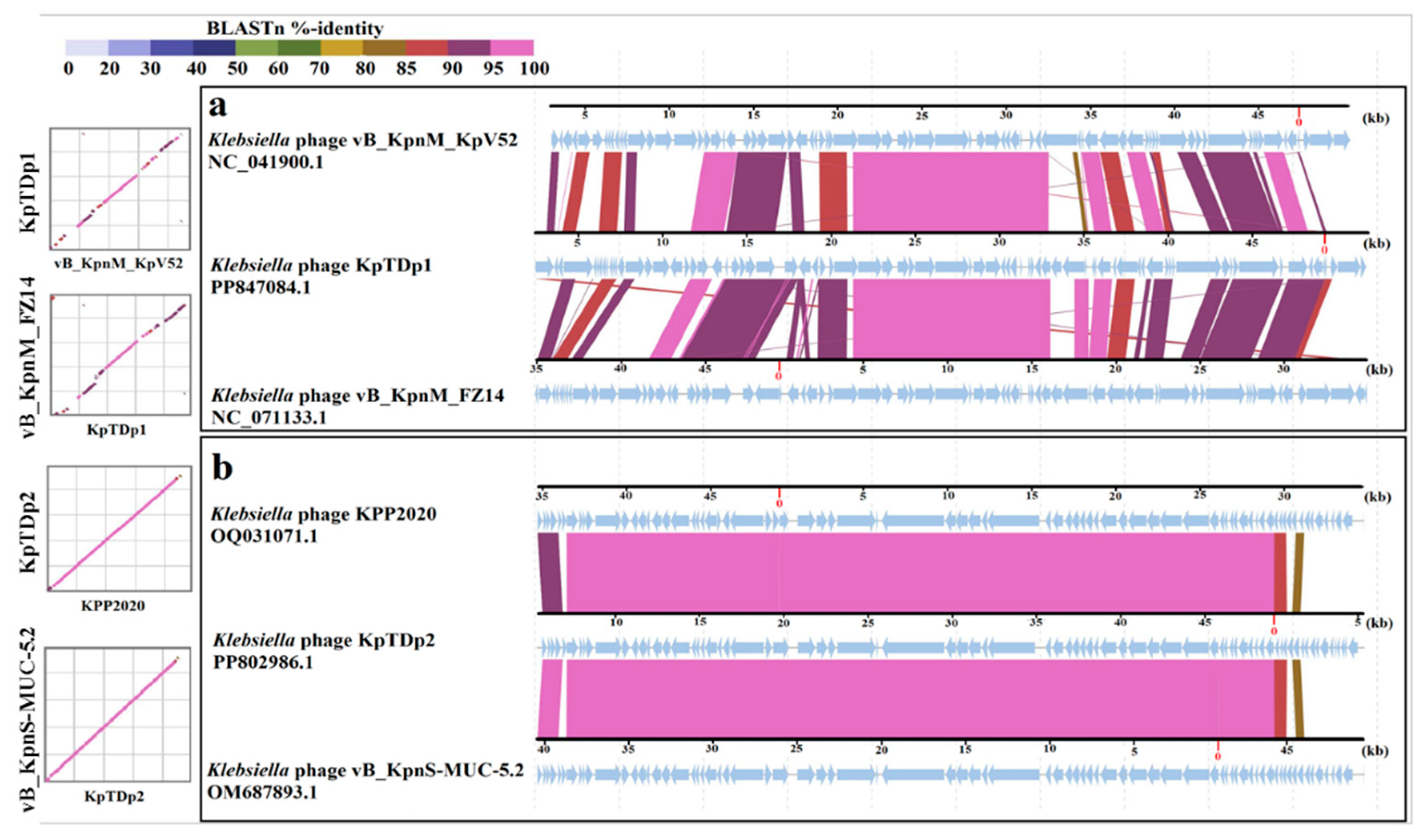 Antibiotics 13 01154 g007