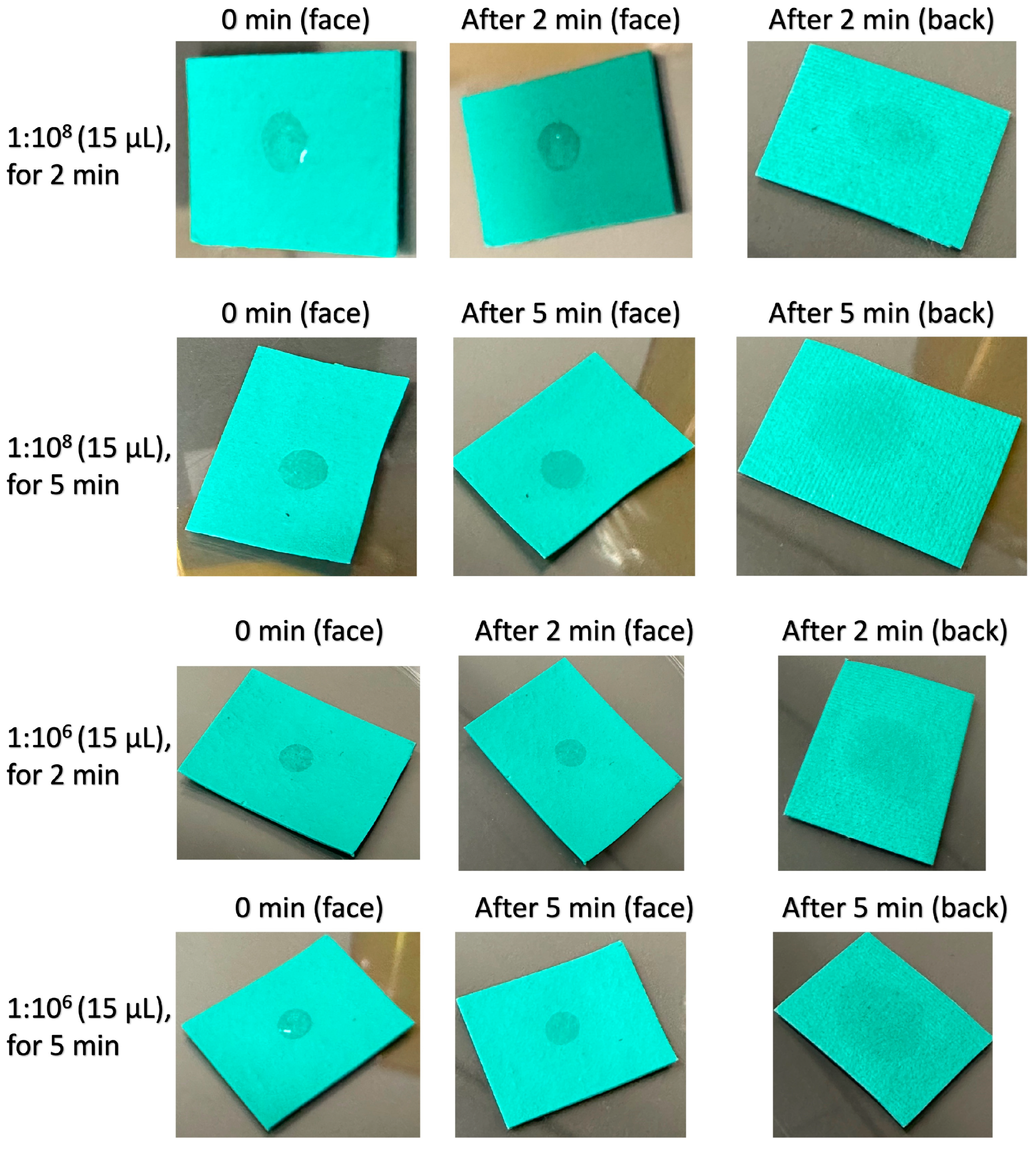 Antibiotics 13 01156 g001