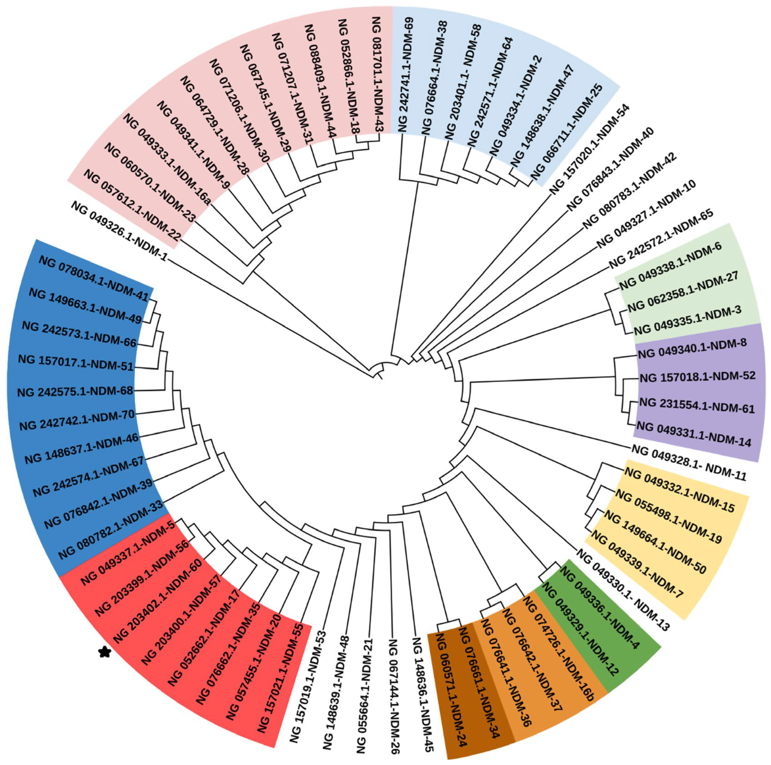 Antibiotics 13 01158 g001