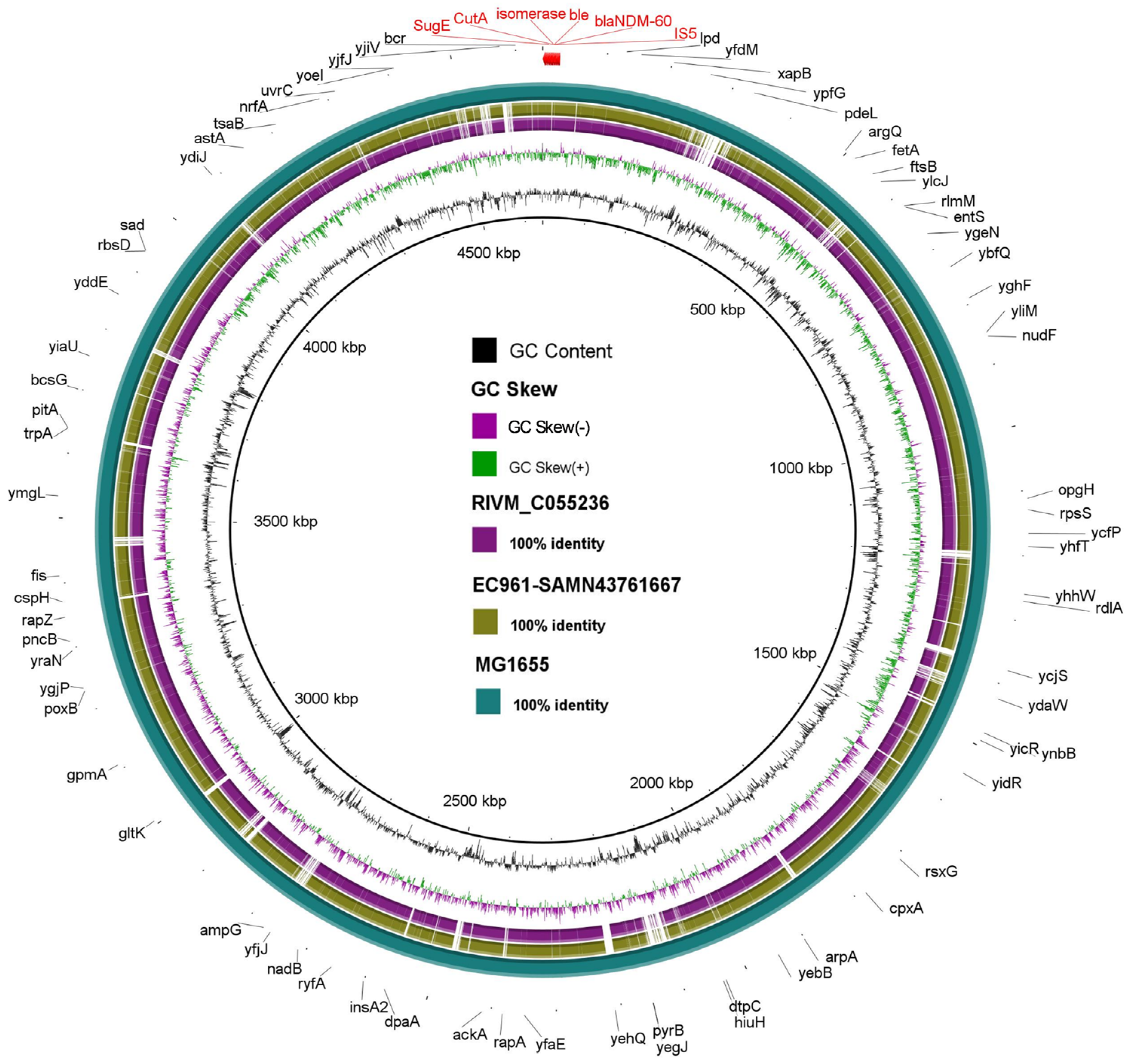 Antibiotics 13 01158 g004