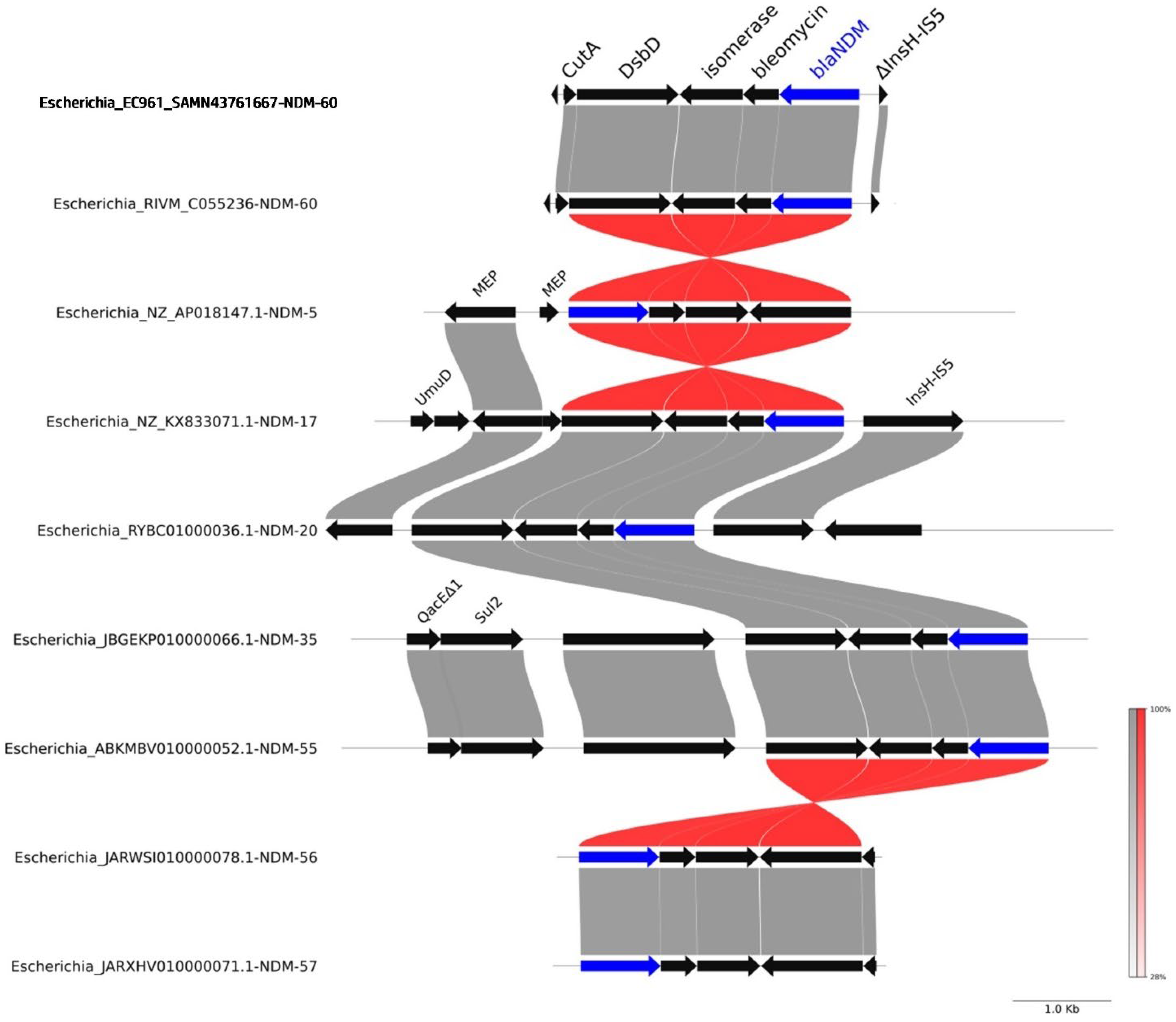Antibiotics 13 01158 g005