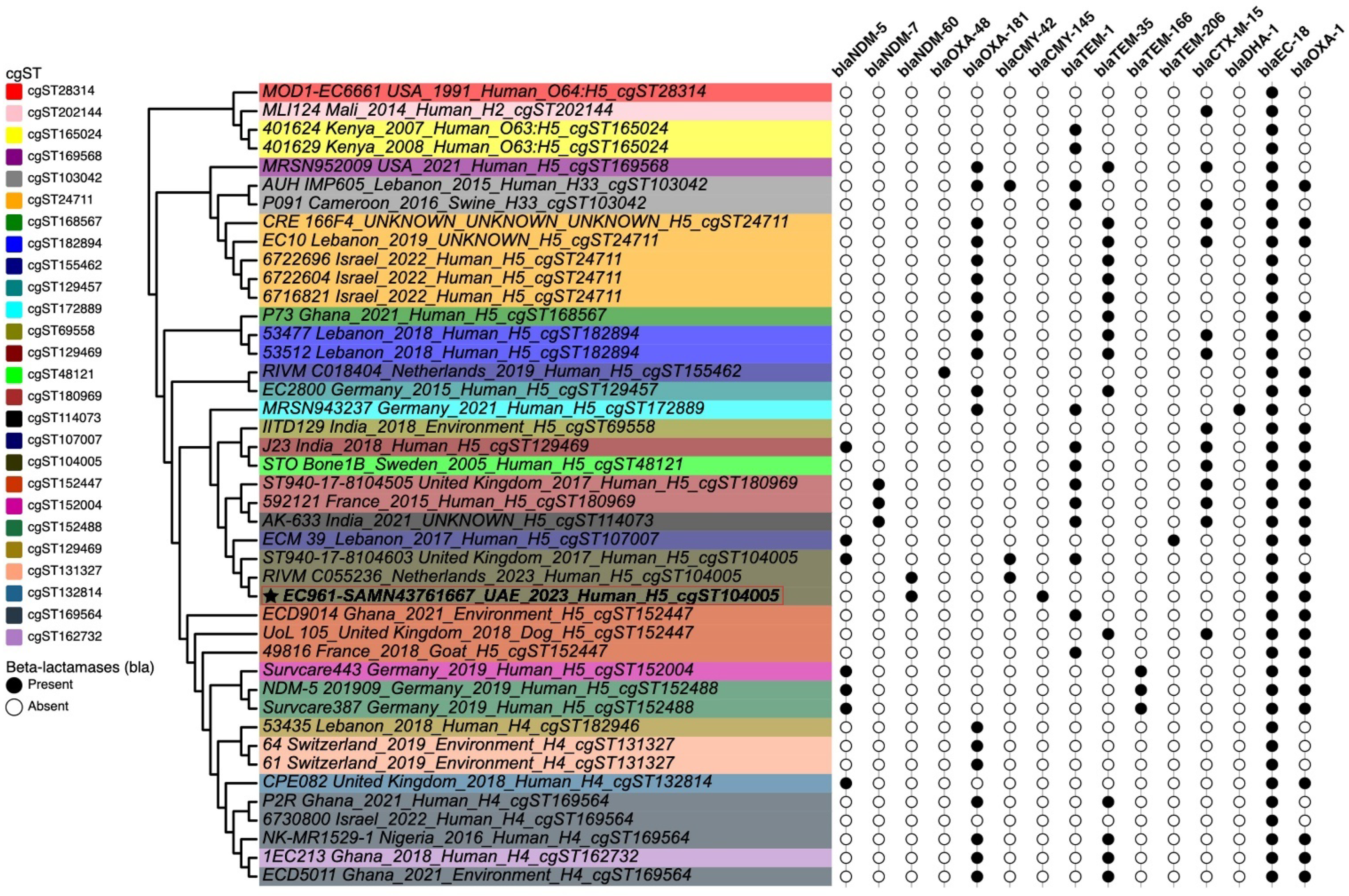Antibiotics 13 01158 g006