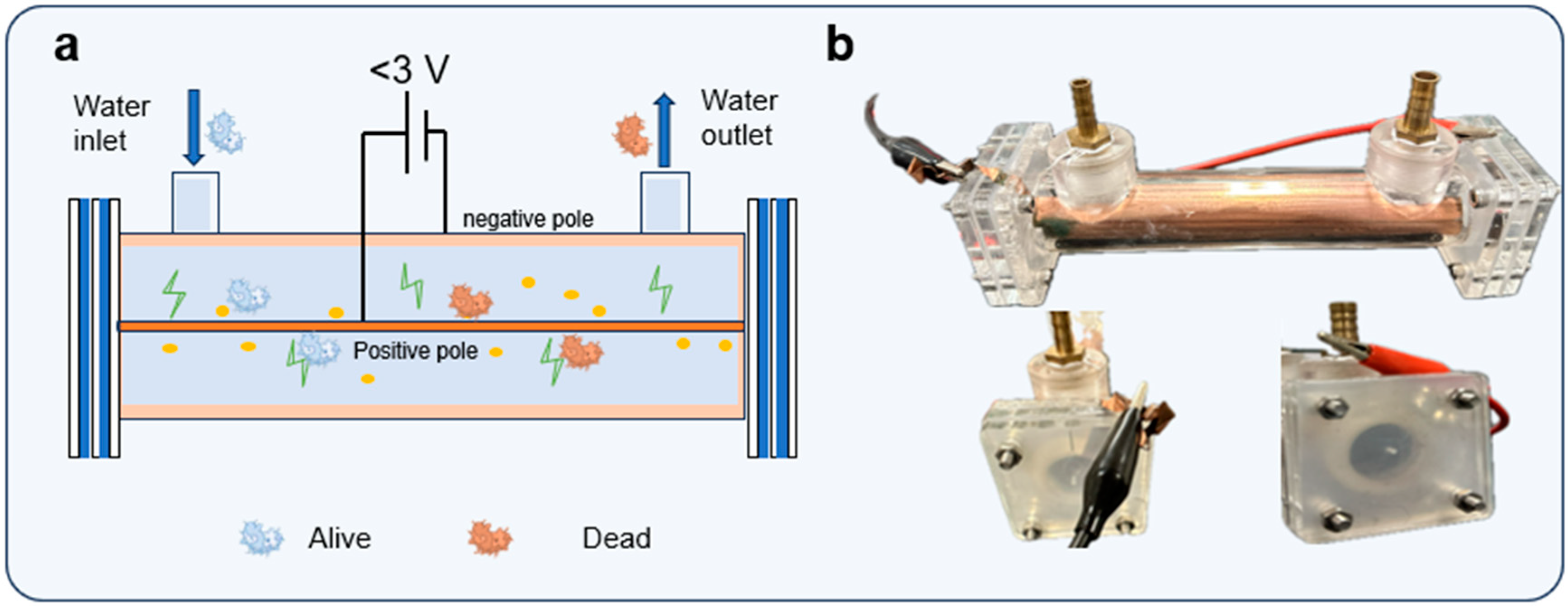 Antibiotics 13 01161 g007