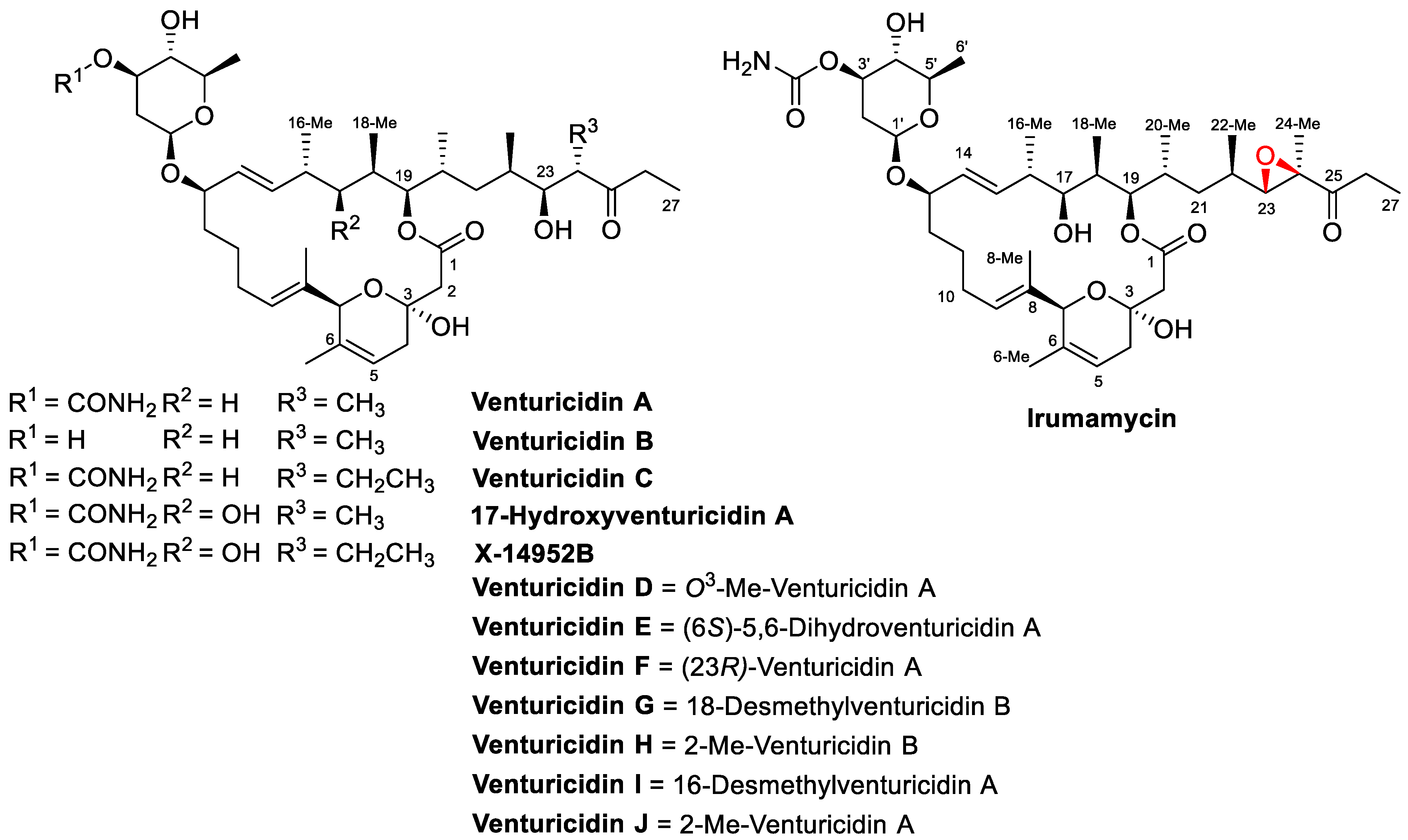 Molecular Decoration and Unconventional Double Bond