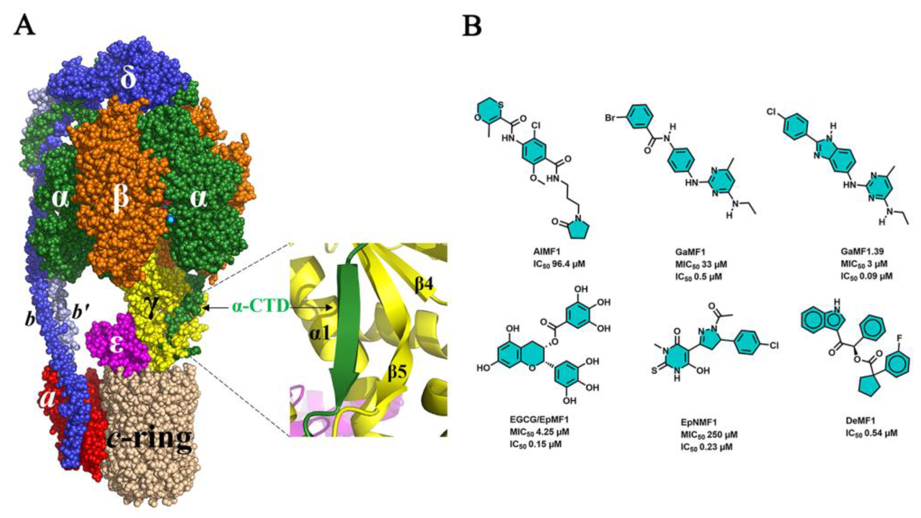 Antibiotics 13 01169 g003