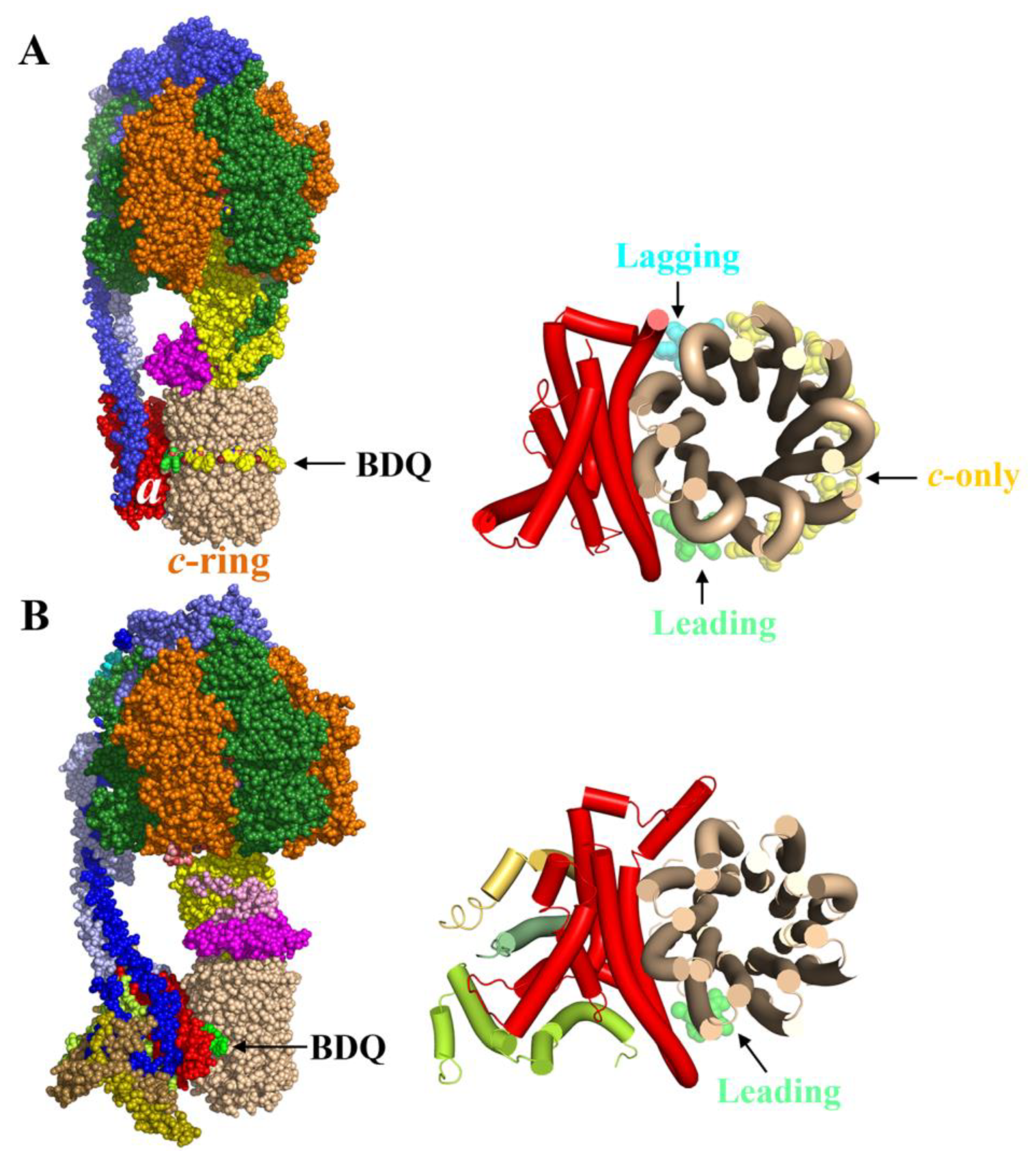 Antibiotics 13 01169 g005
