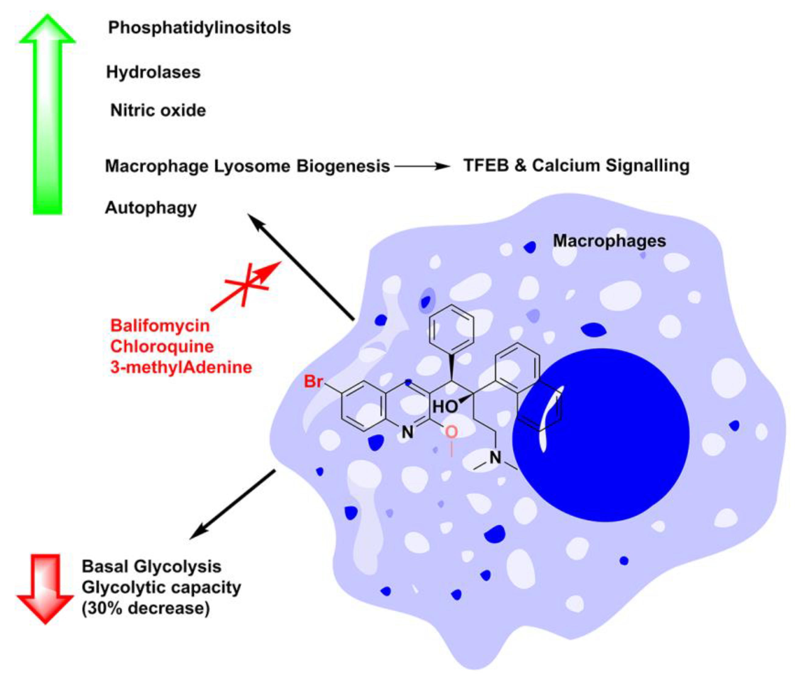 Antibiotics 13 01169 g016