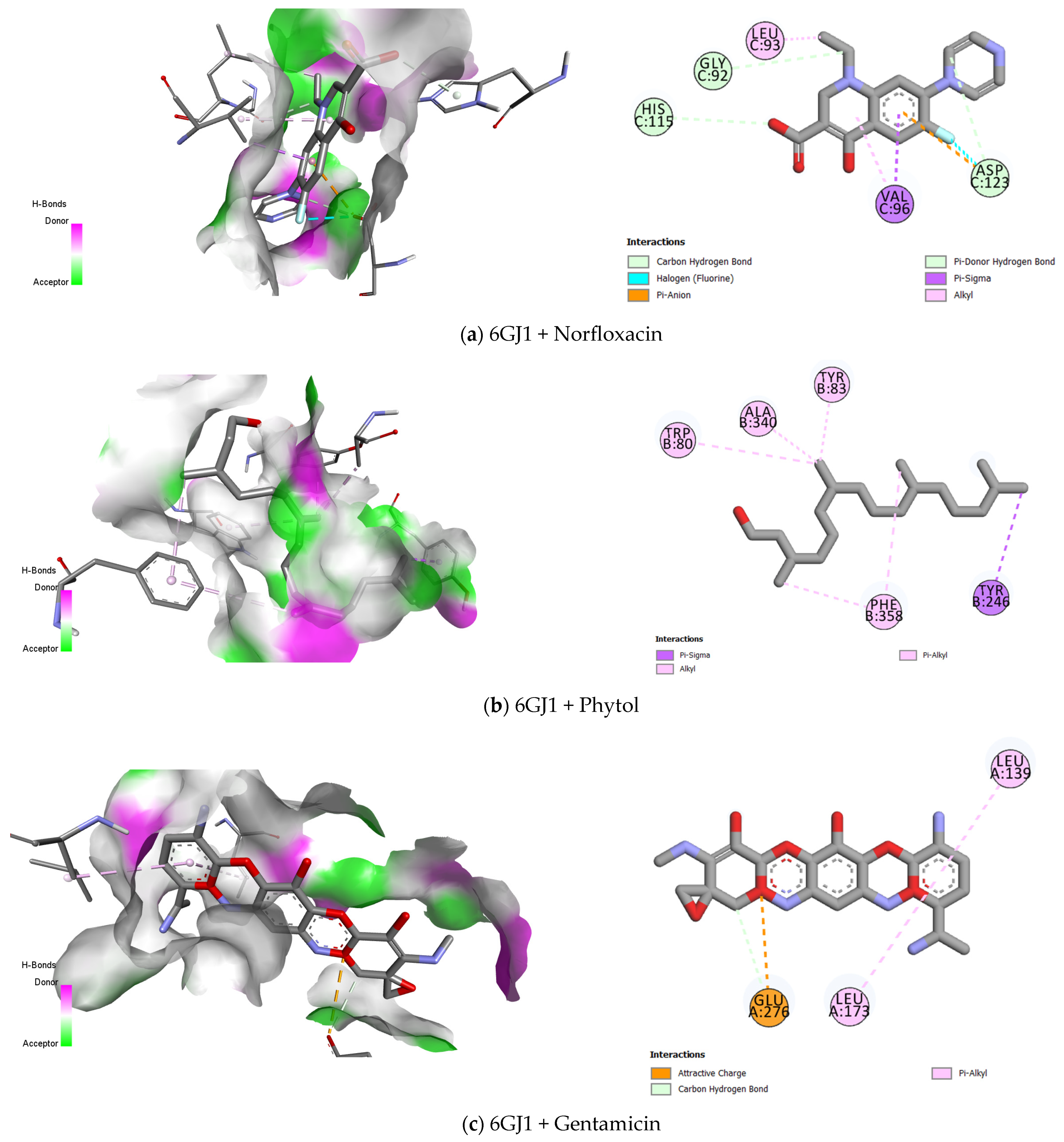 Antibiotics 13 01171 g005a Antibiotics 13 01171 g005a