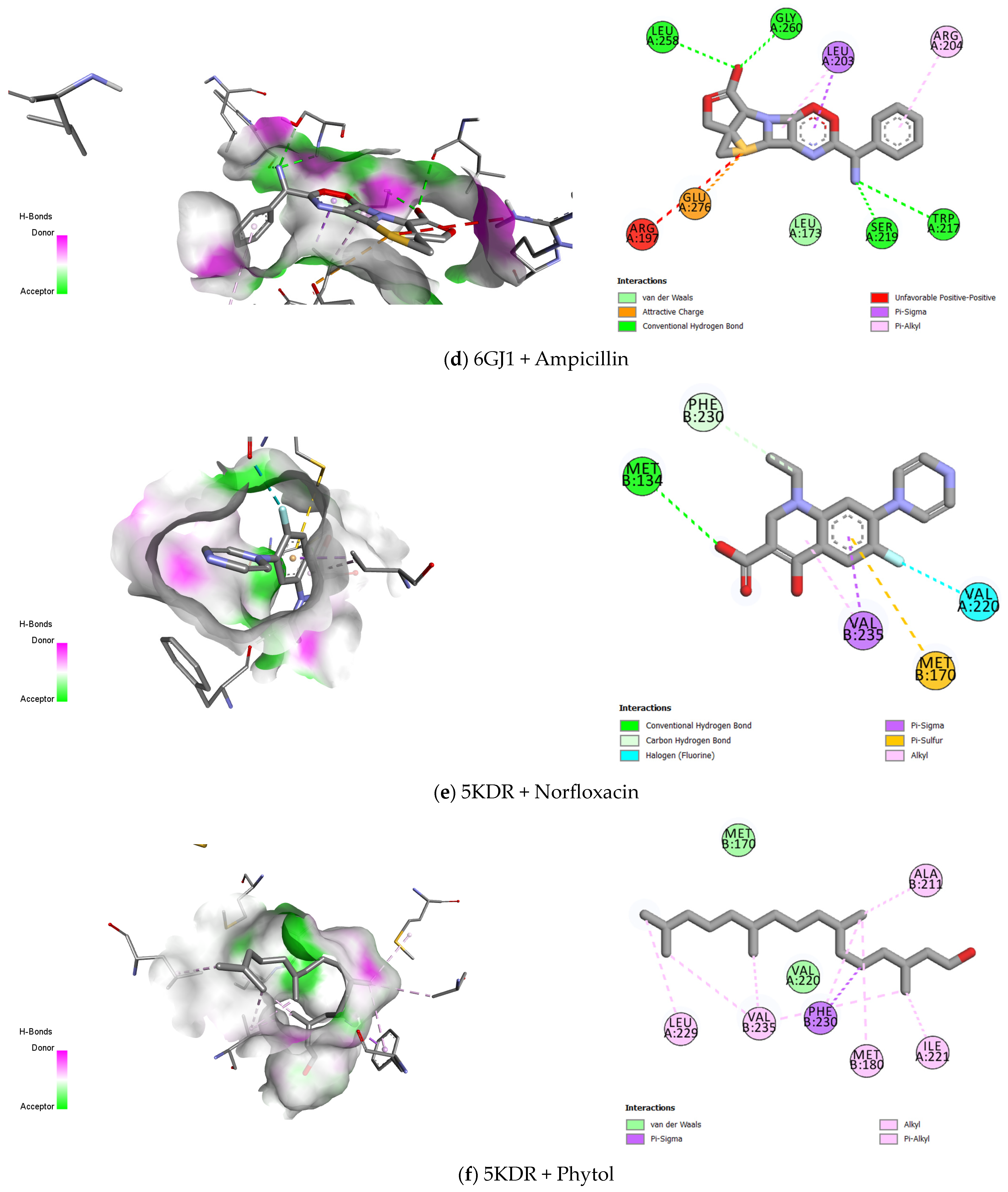 Antibiotics 13 01171 g005b Antibiotics 13 01171 g005b