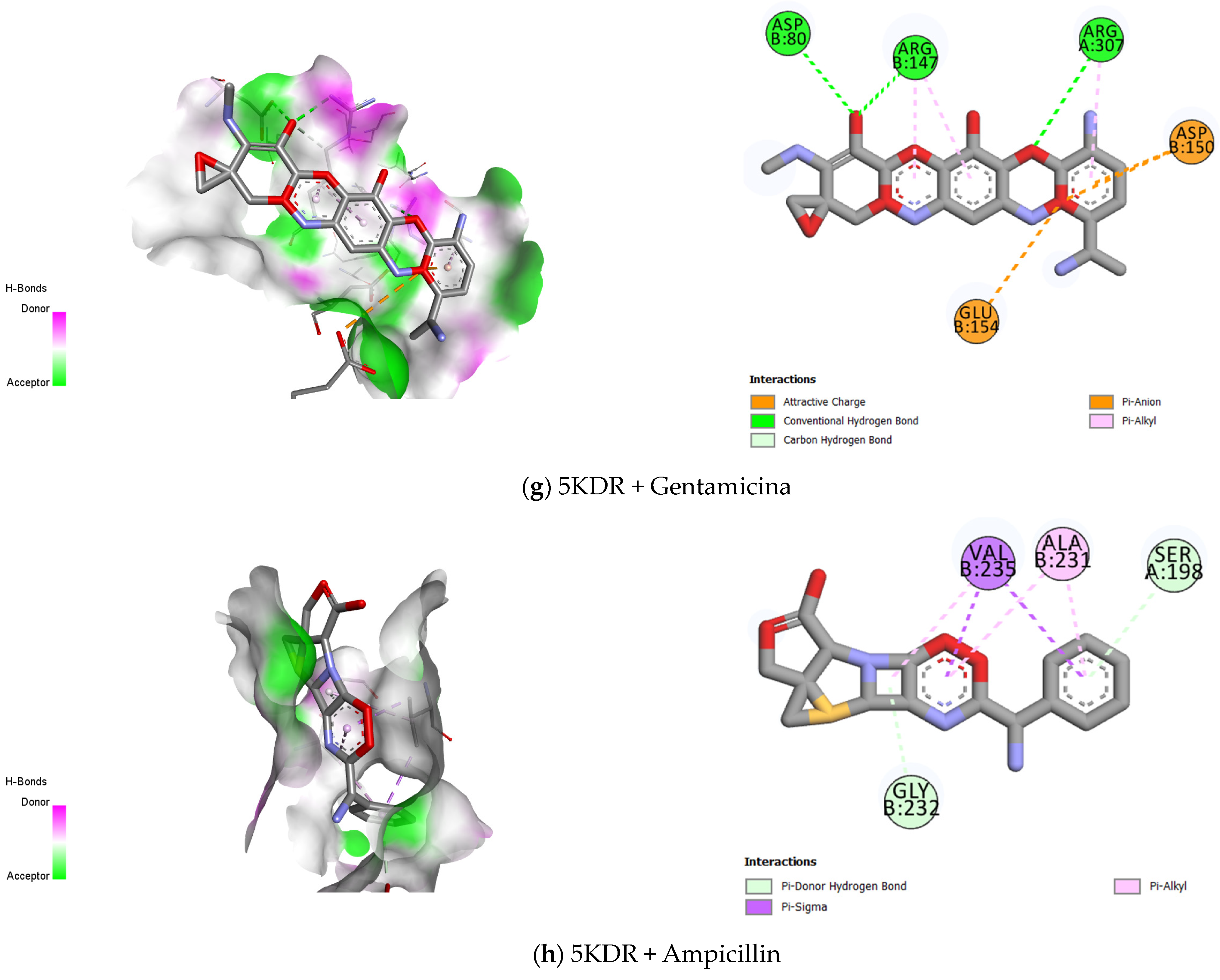 Antibiotics 13 01171 g005c Antibiotics 13 01171 g005c