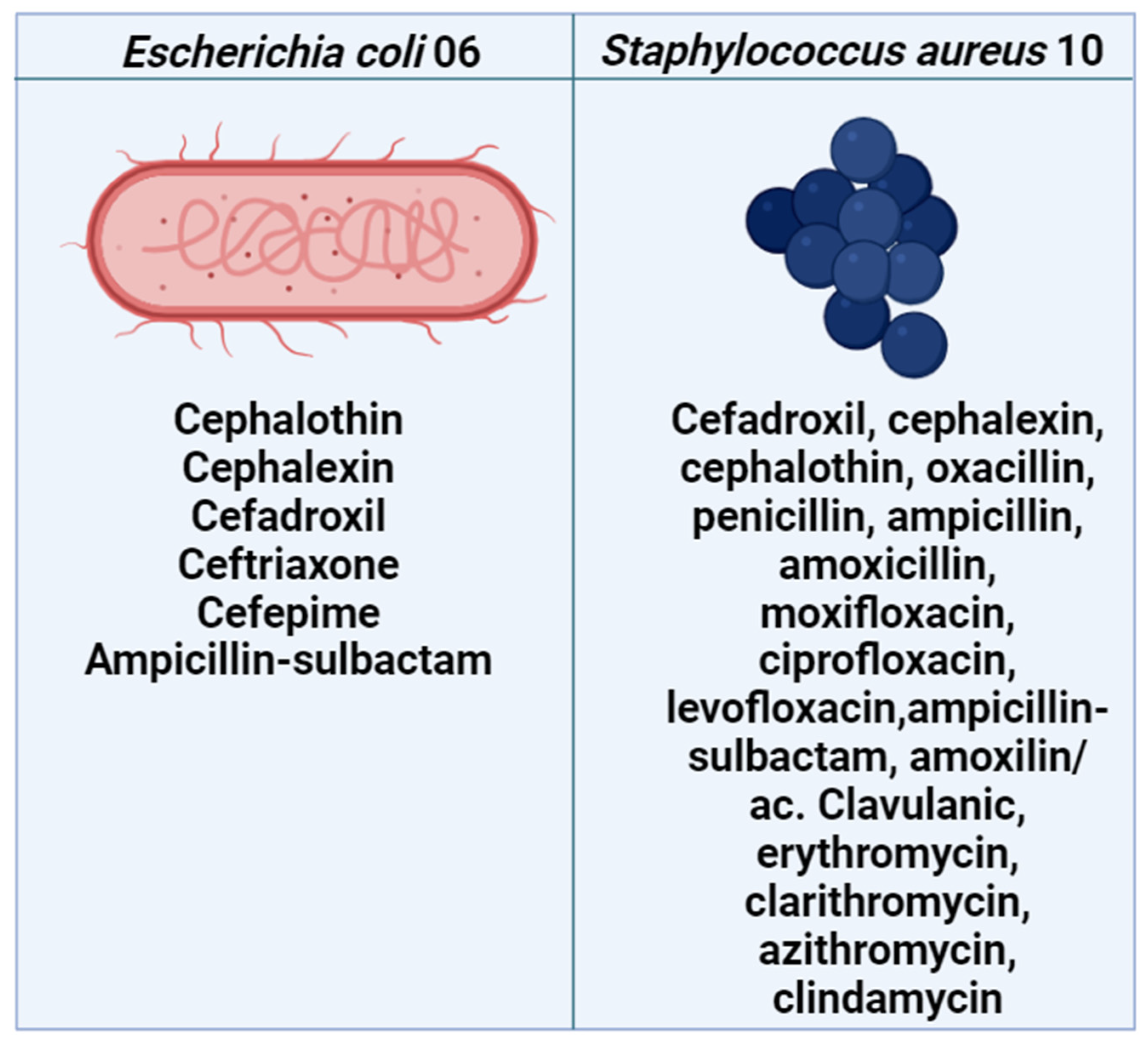Antibiotics 13 01171 g006 Antibiotics 13 01171 g006