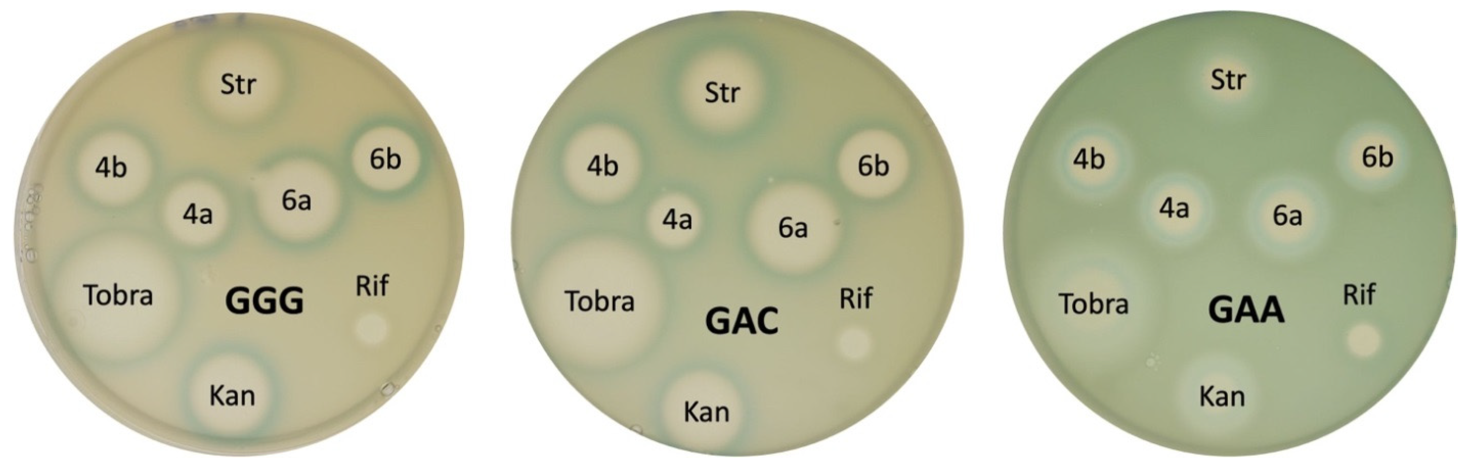 Antibiotics 13 01191 g004 Antibiotics 13 01191 g004