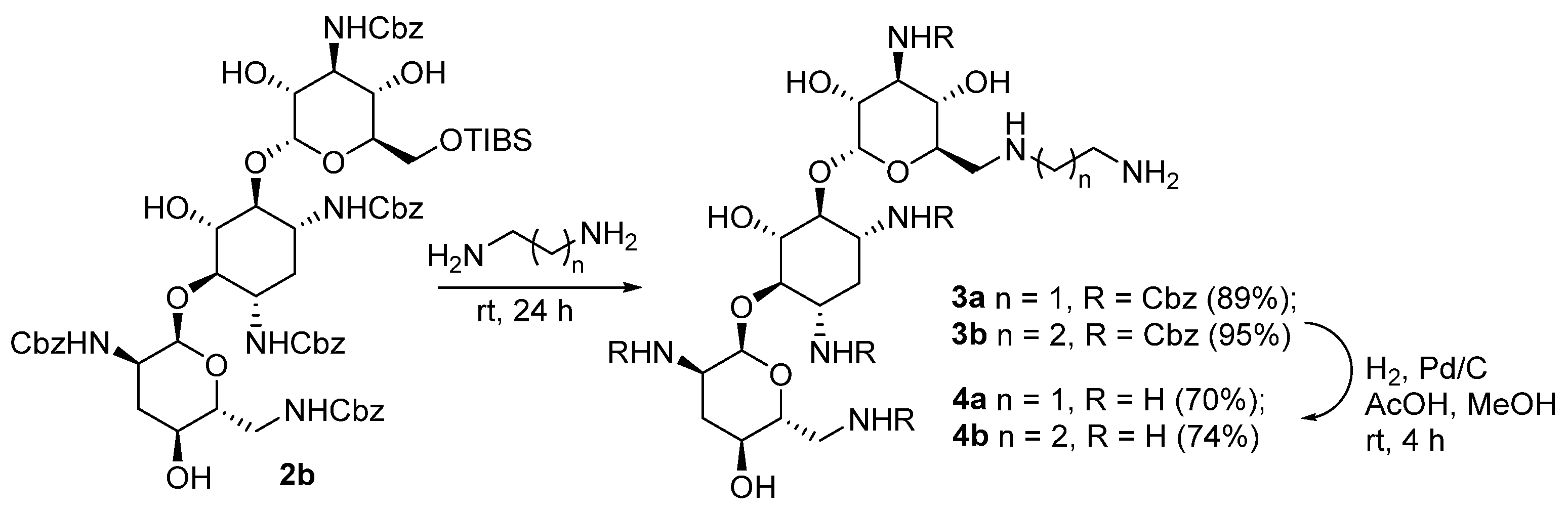 Antibiotics 13 01191 sch002 Antibiotics 13 01191 sch002