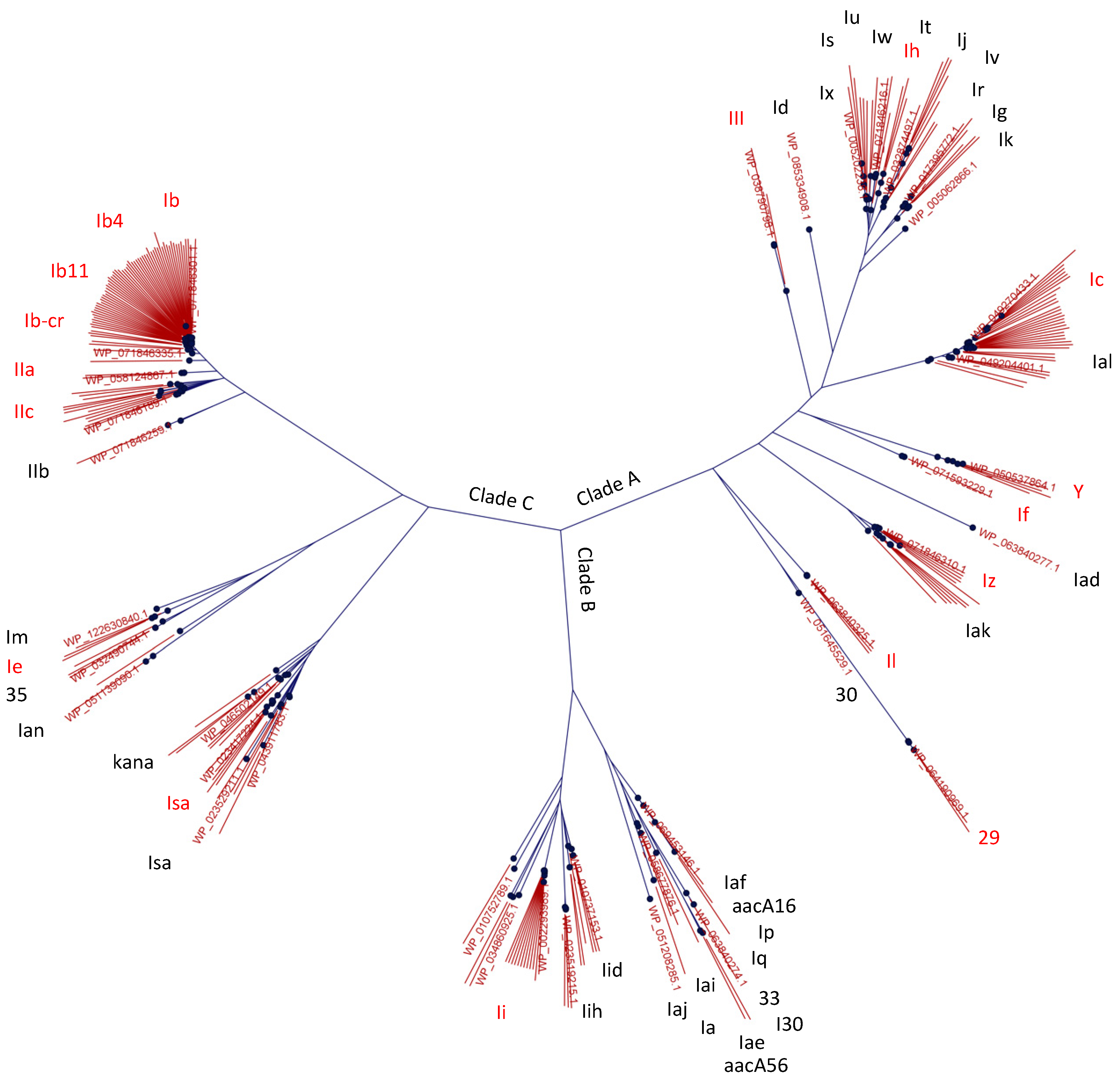 Antibiotics 13 01196 g002 Antibiotics 13 01196 g002