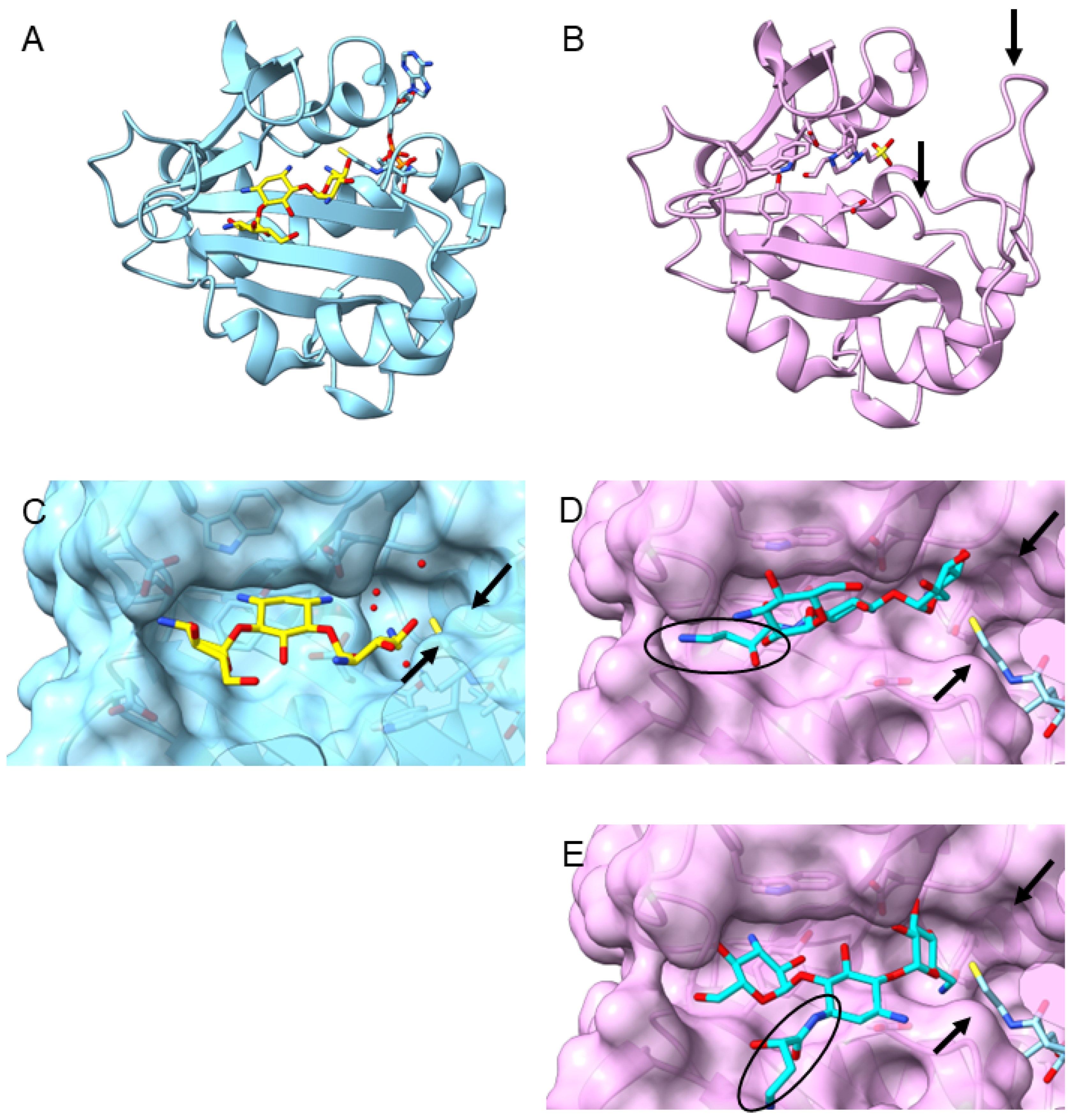 Antibiotics 13 01196 g004 Antibiotics 13 01196 g004