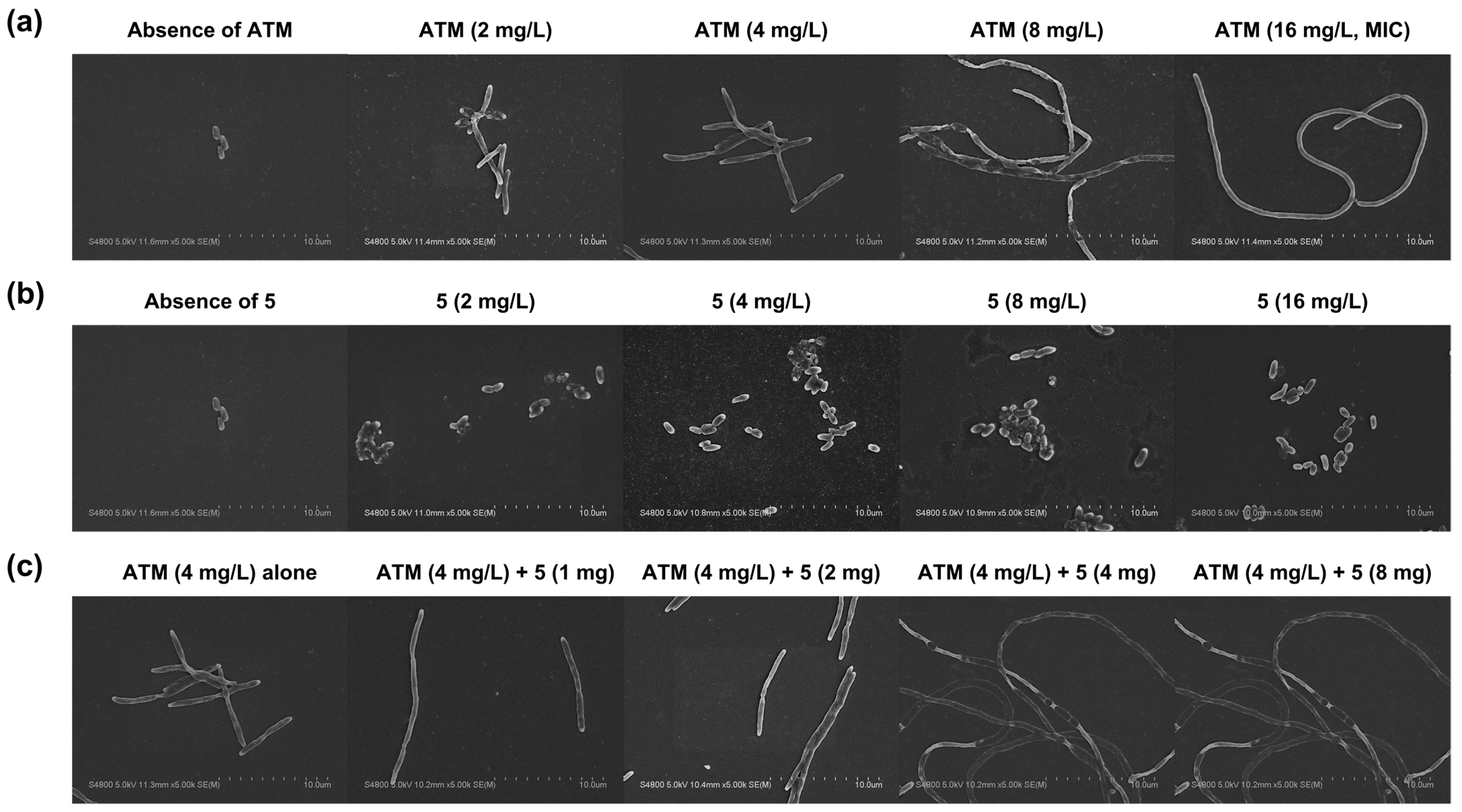 Antibiotics 13 01202 g004