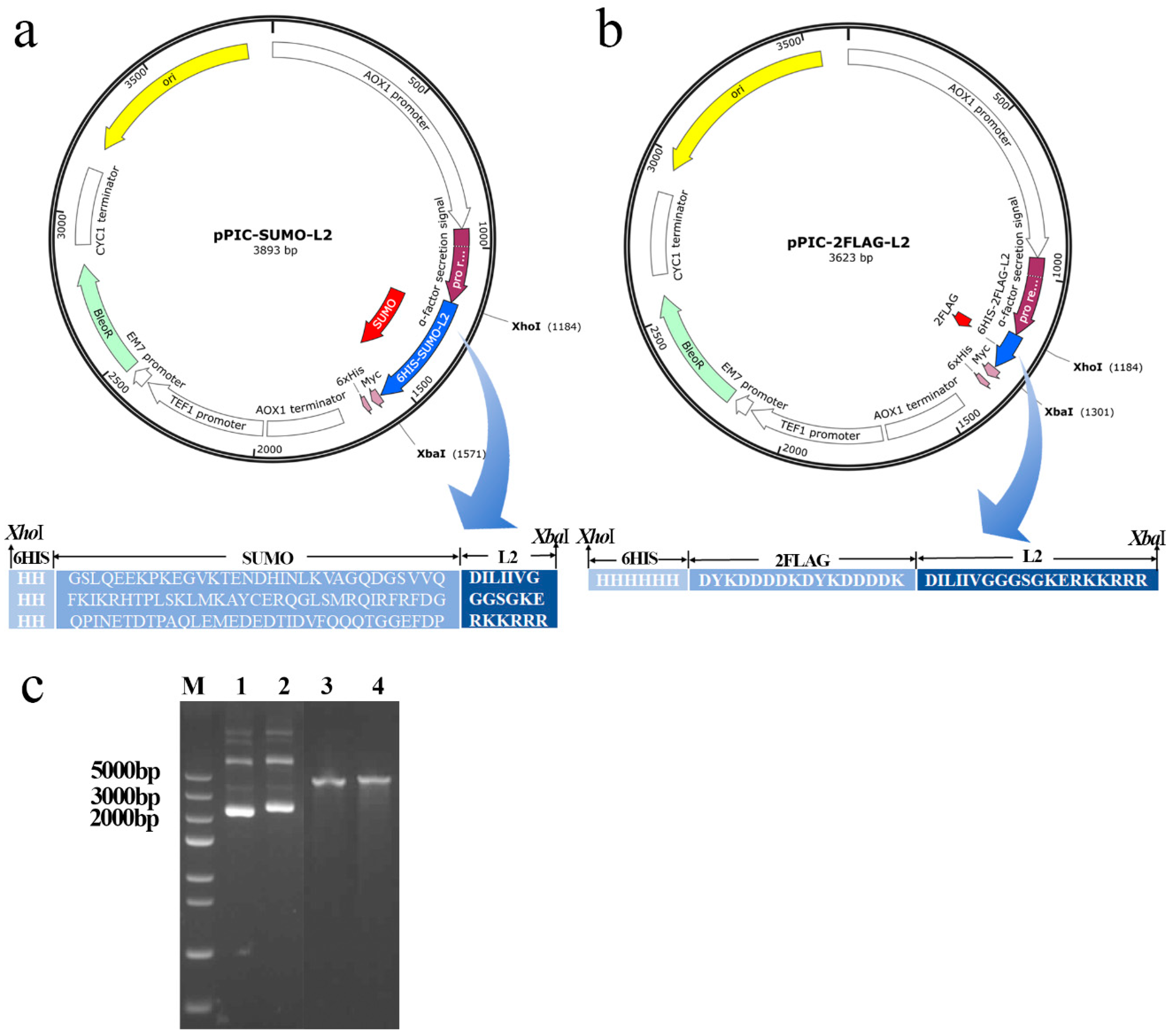 Antibiotics 13 01207 g001