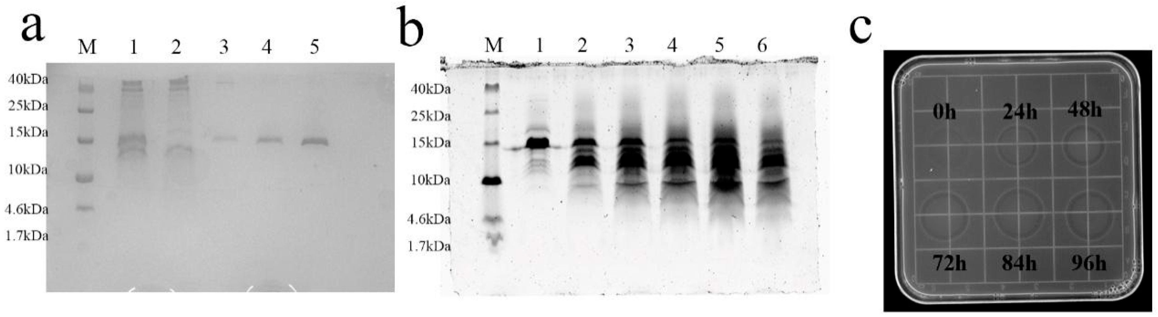 Antibiotics 13 01207 g003