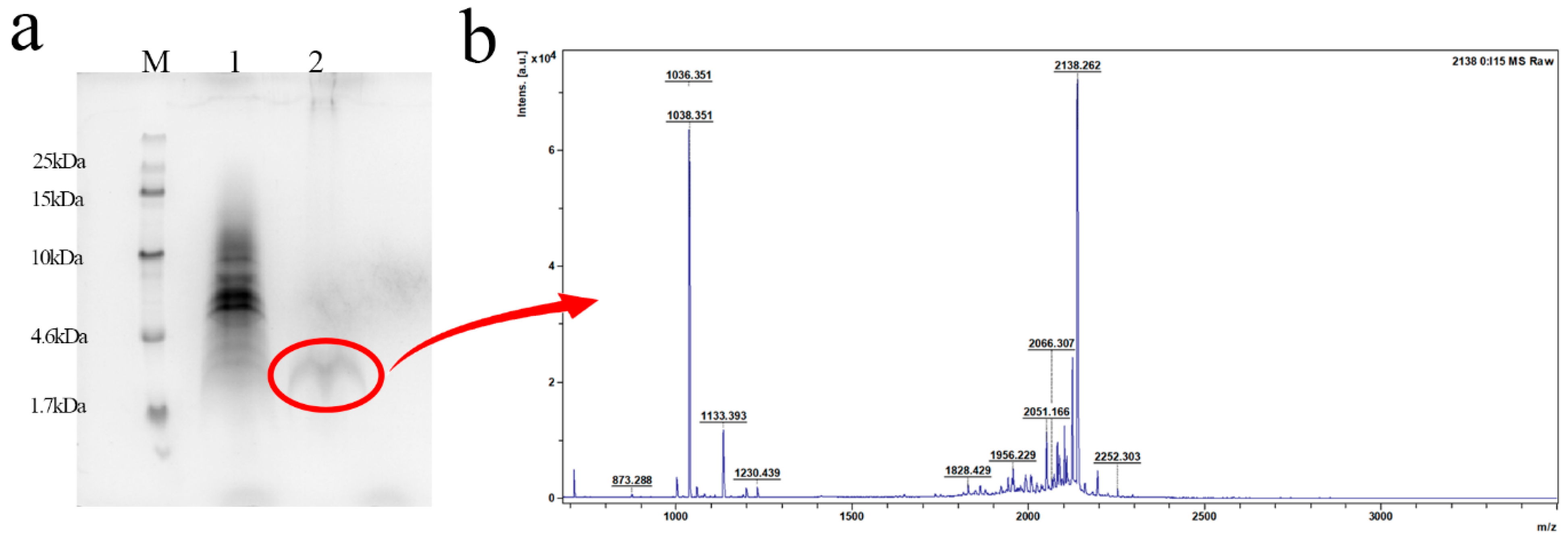 Antibiotics 13 01207 g004