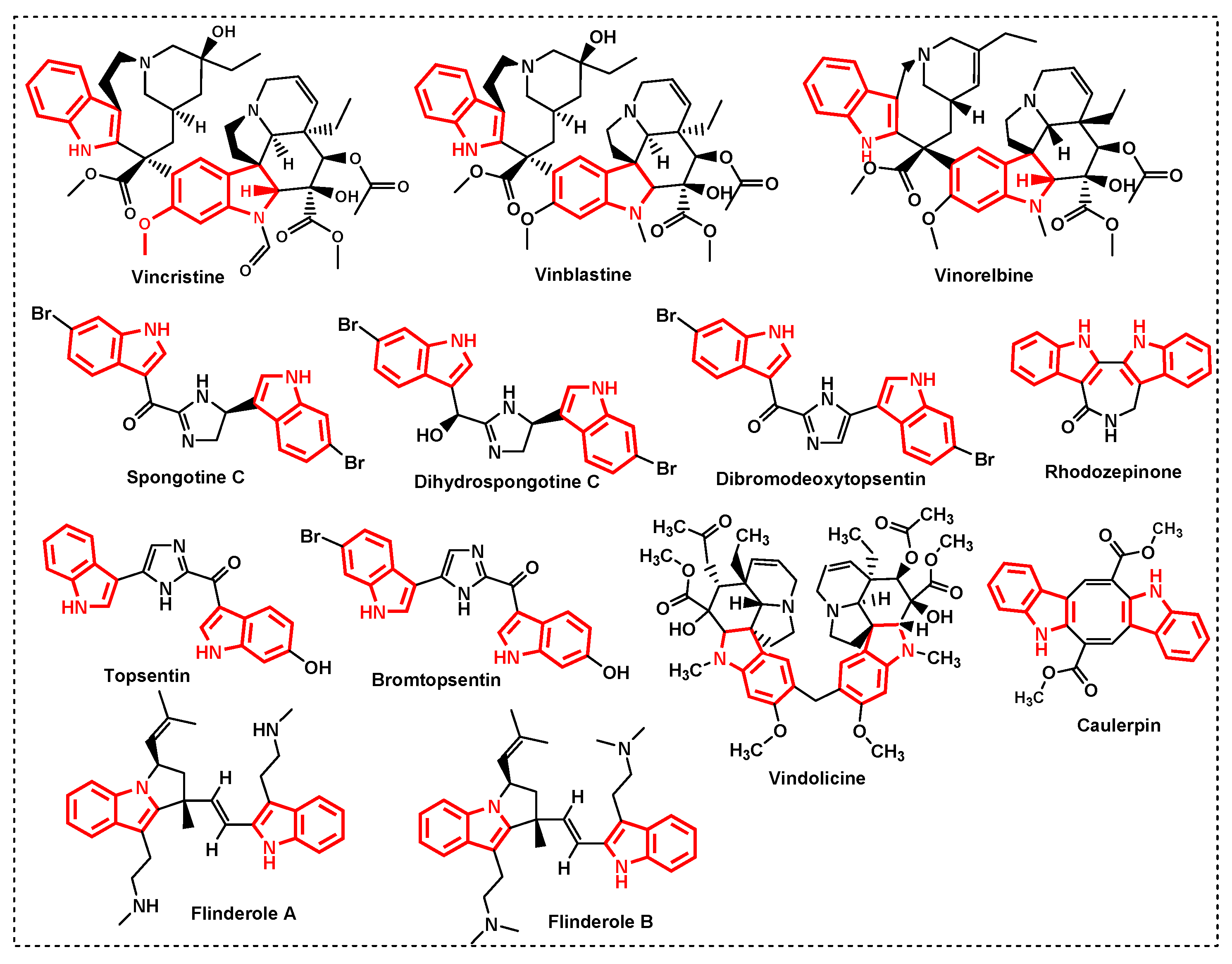 Antibiotics 13 01212 g002