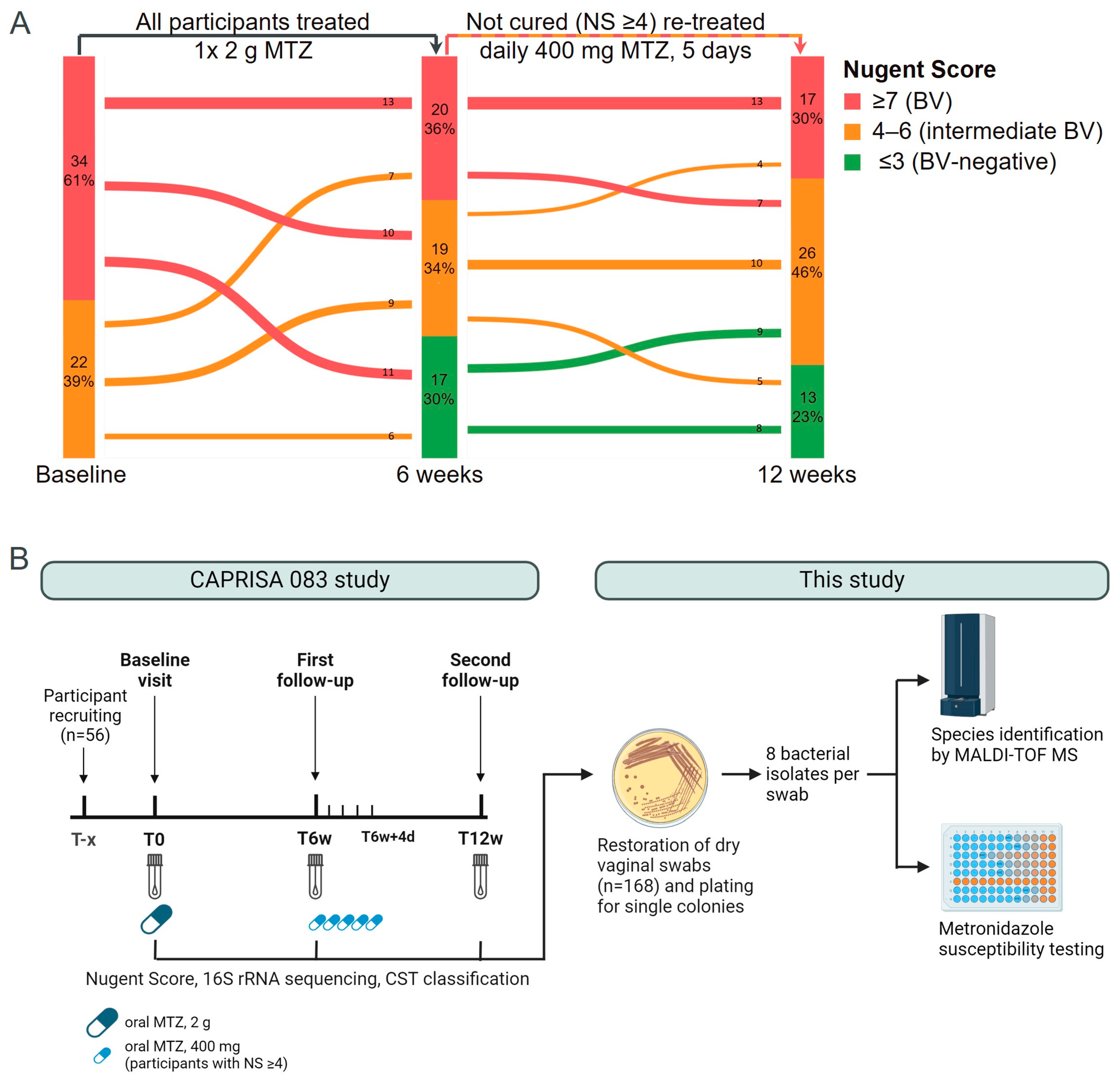 Antibiotics 13 01217 g001