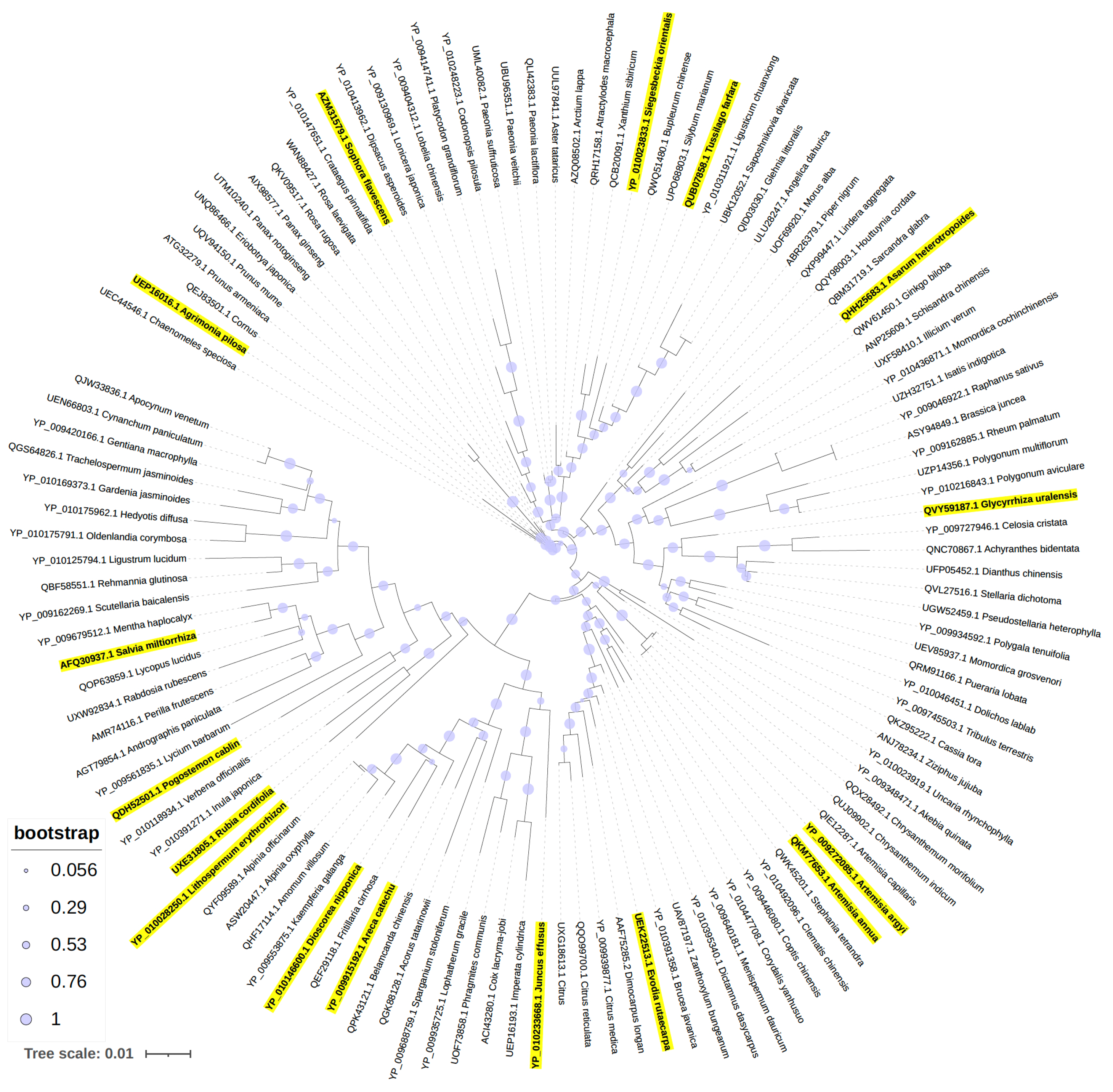 Antibiotics 13 01220 g004