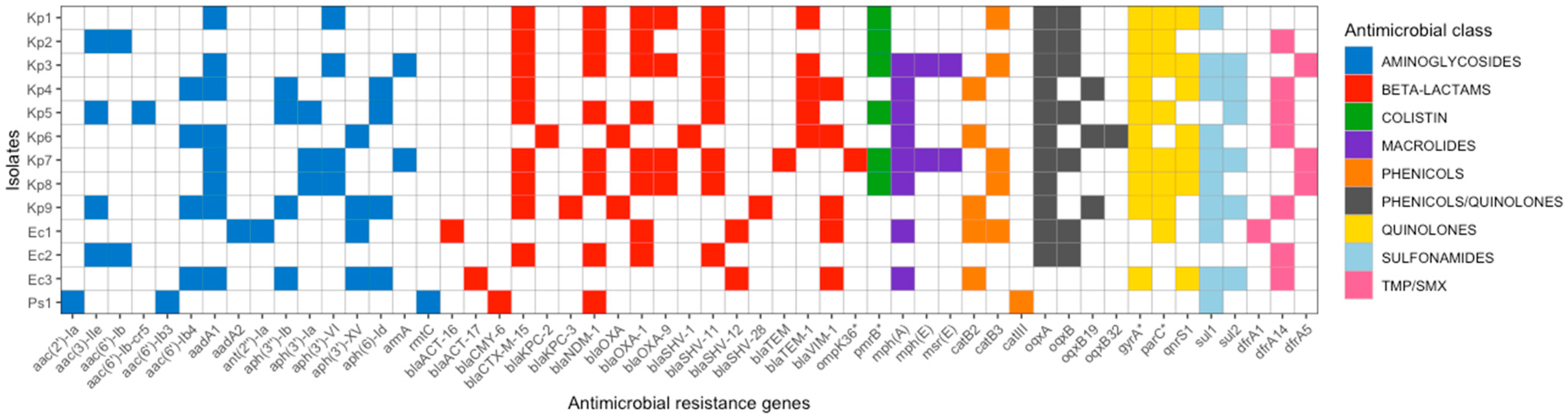 Antibiotics 13 01221 g001