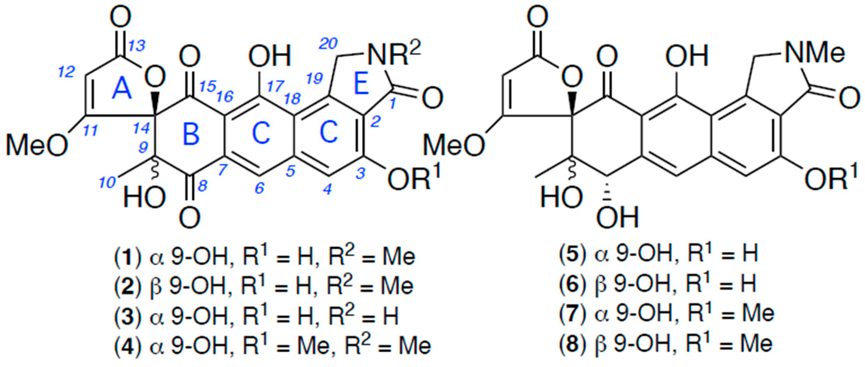 Antibiotics 13 01222 g001