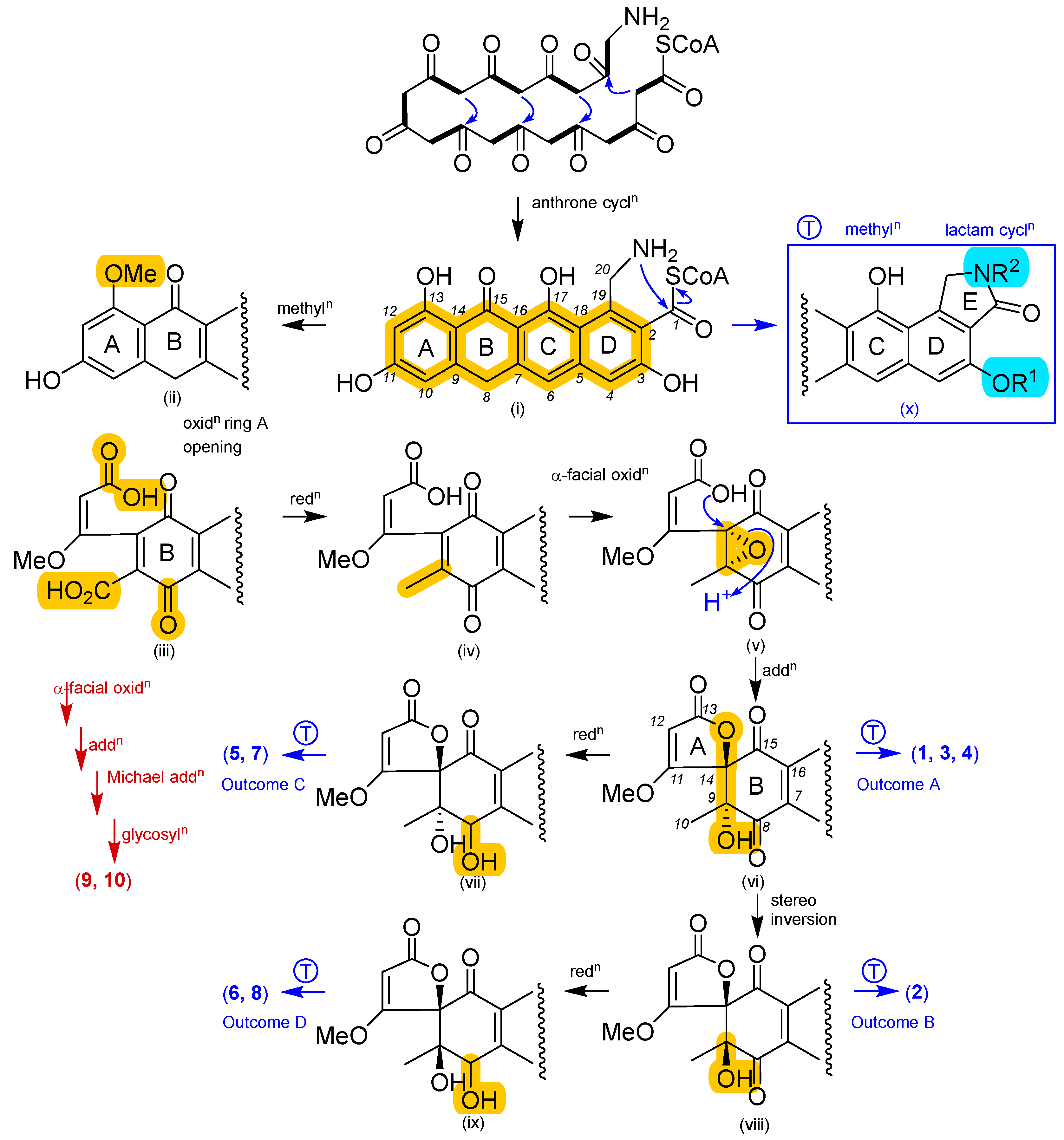 Antibiotics 13 01222 g008