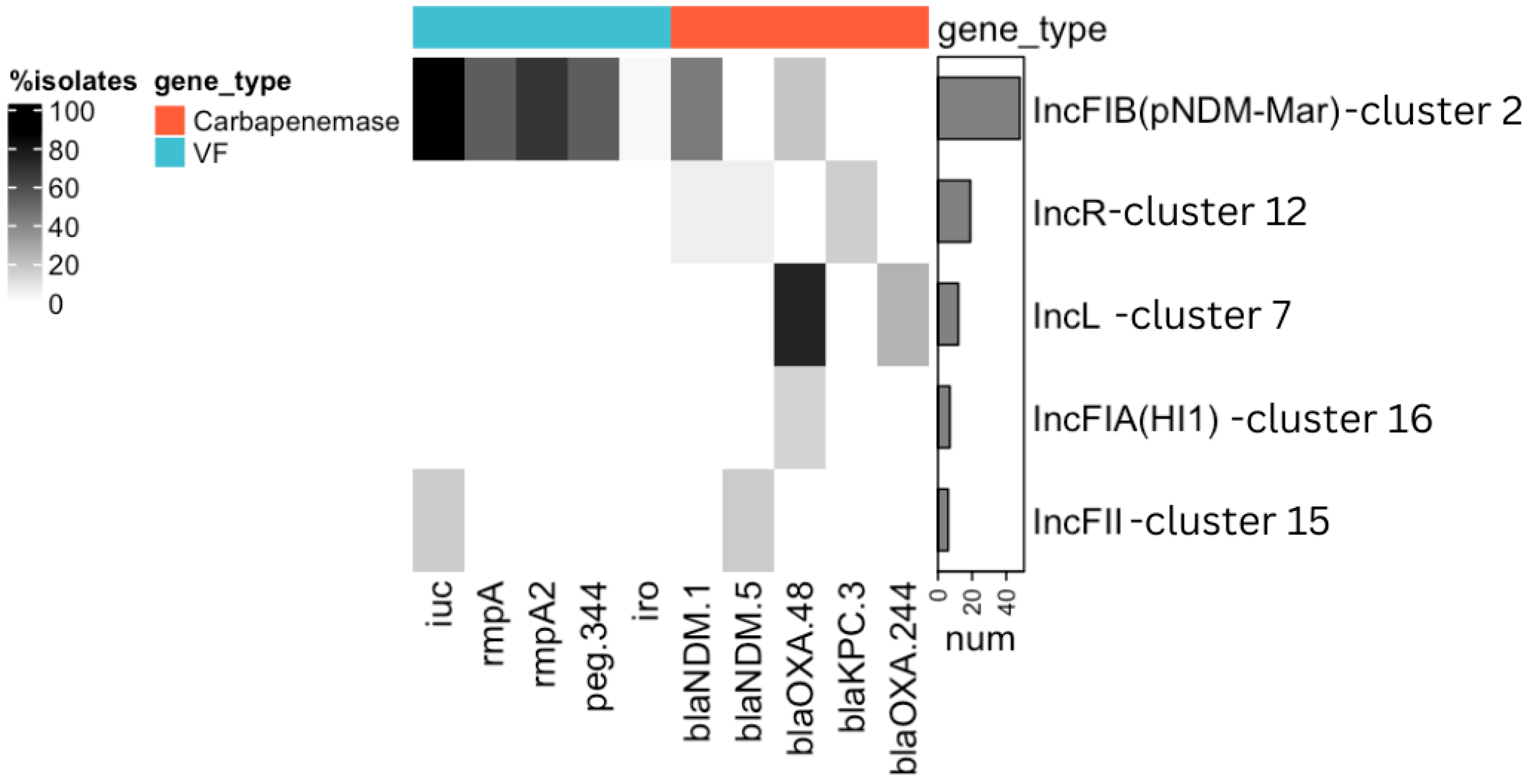 Antibiotics 13 01224 g001