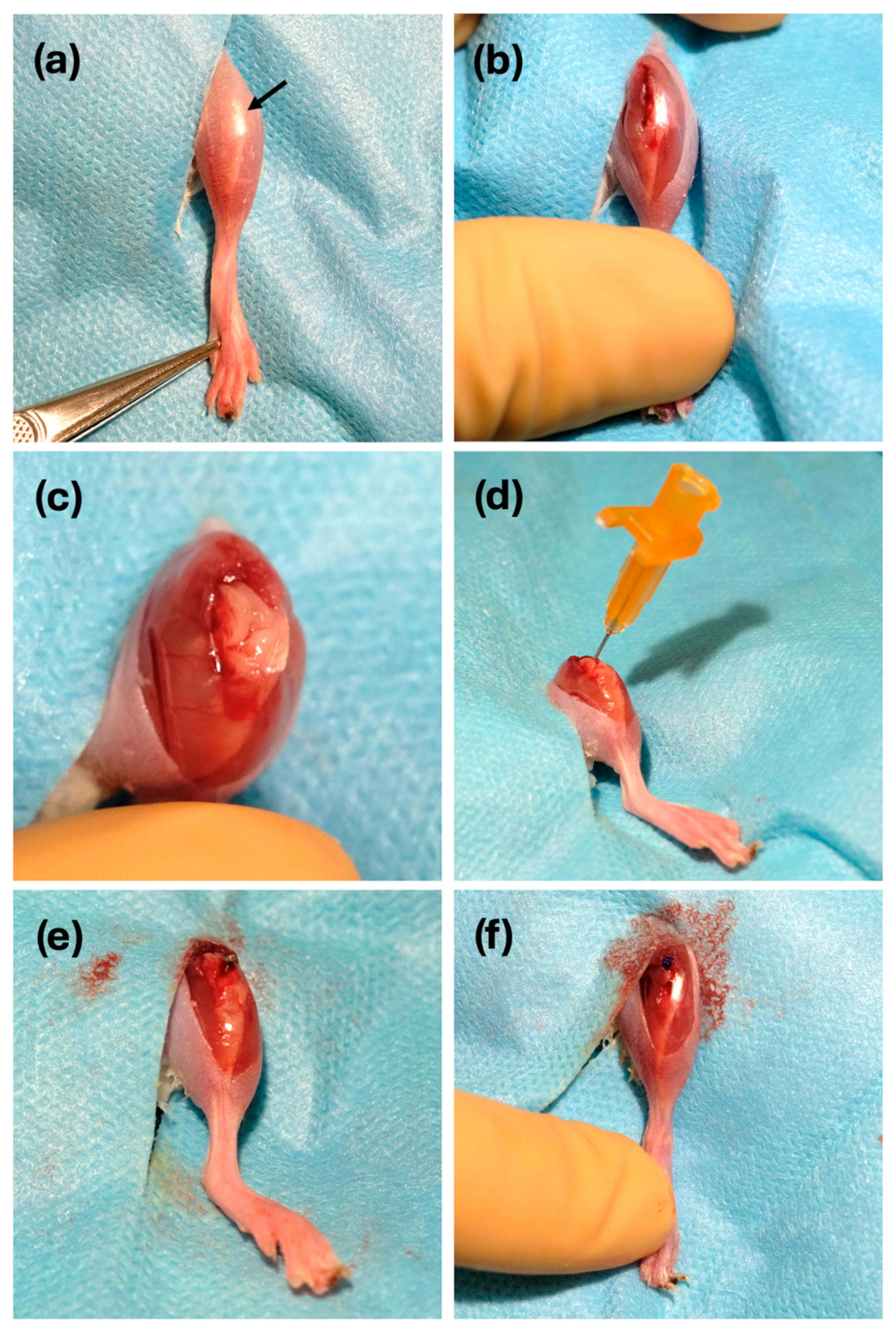 Antibiotics 13 01225 g006