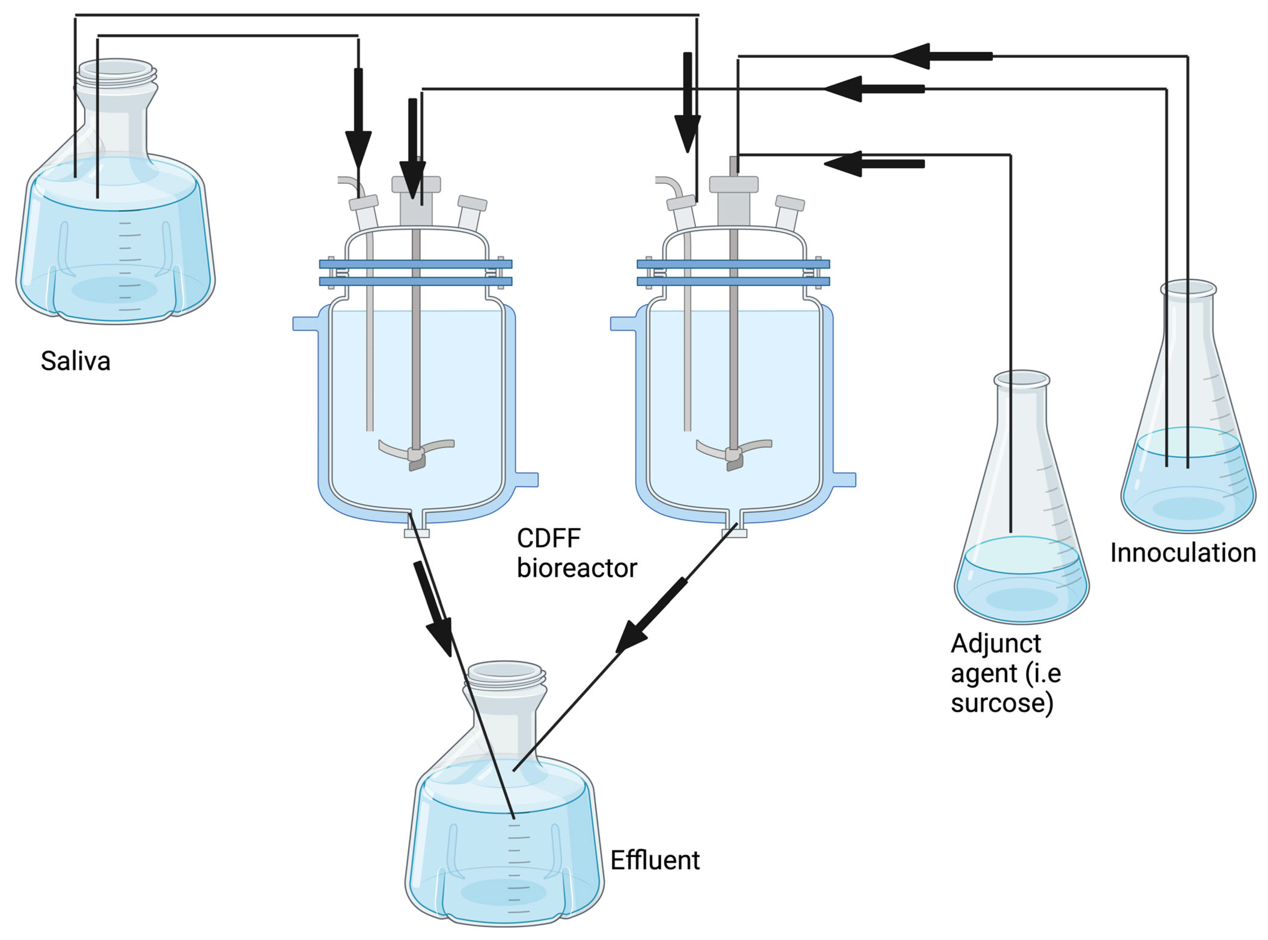 Antibiotics 13 01228 g005