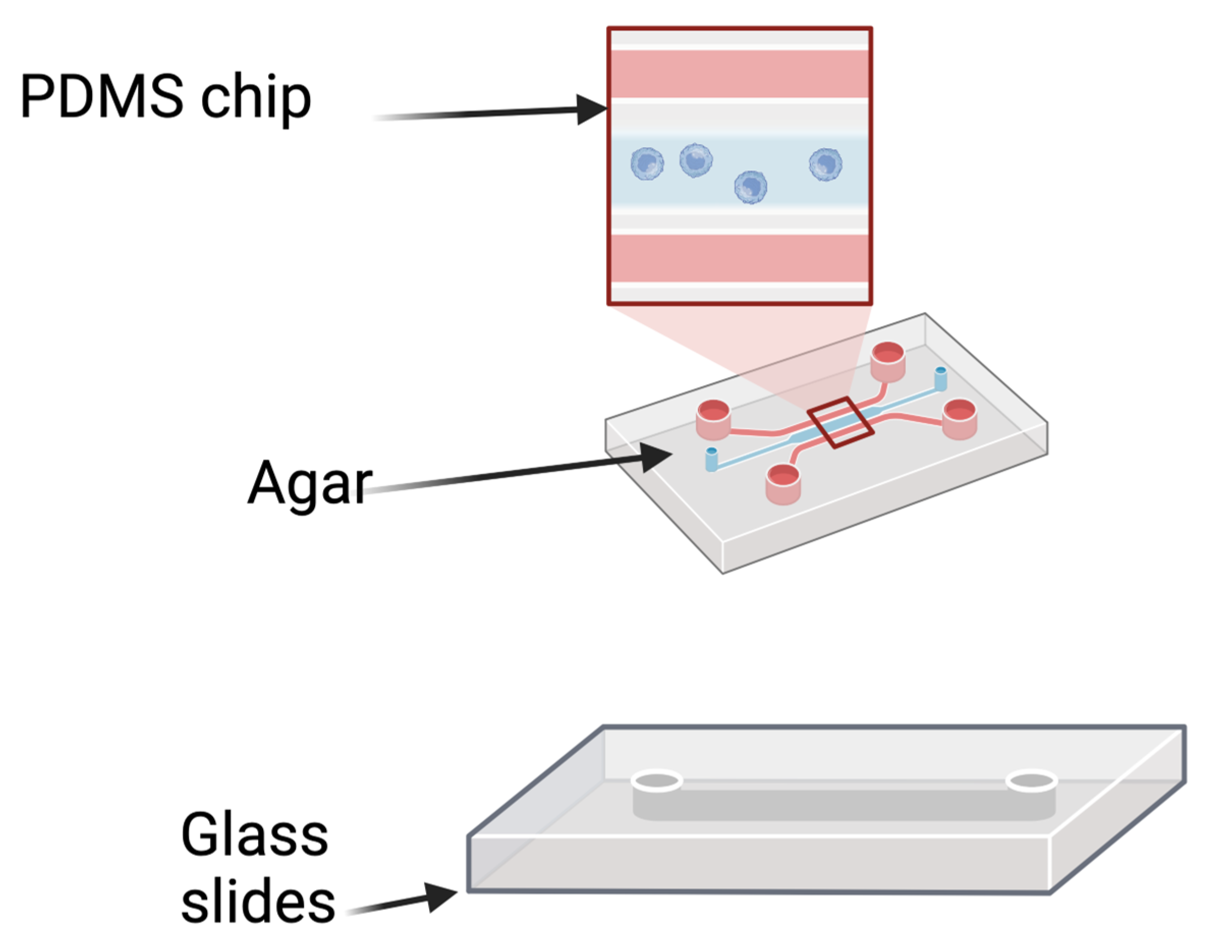Antibiotics 13 01228 g008