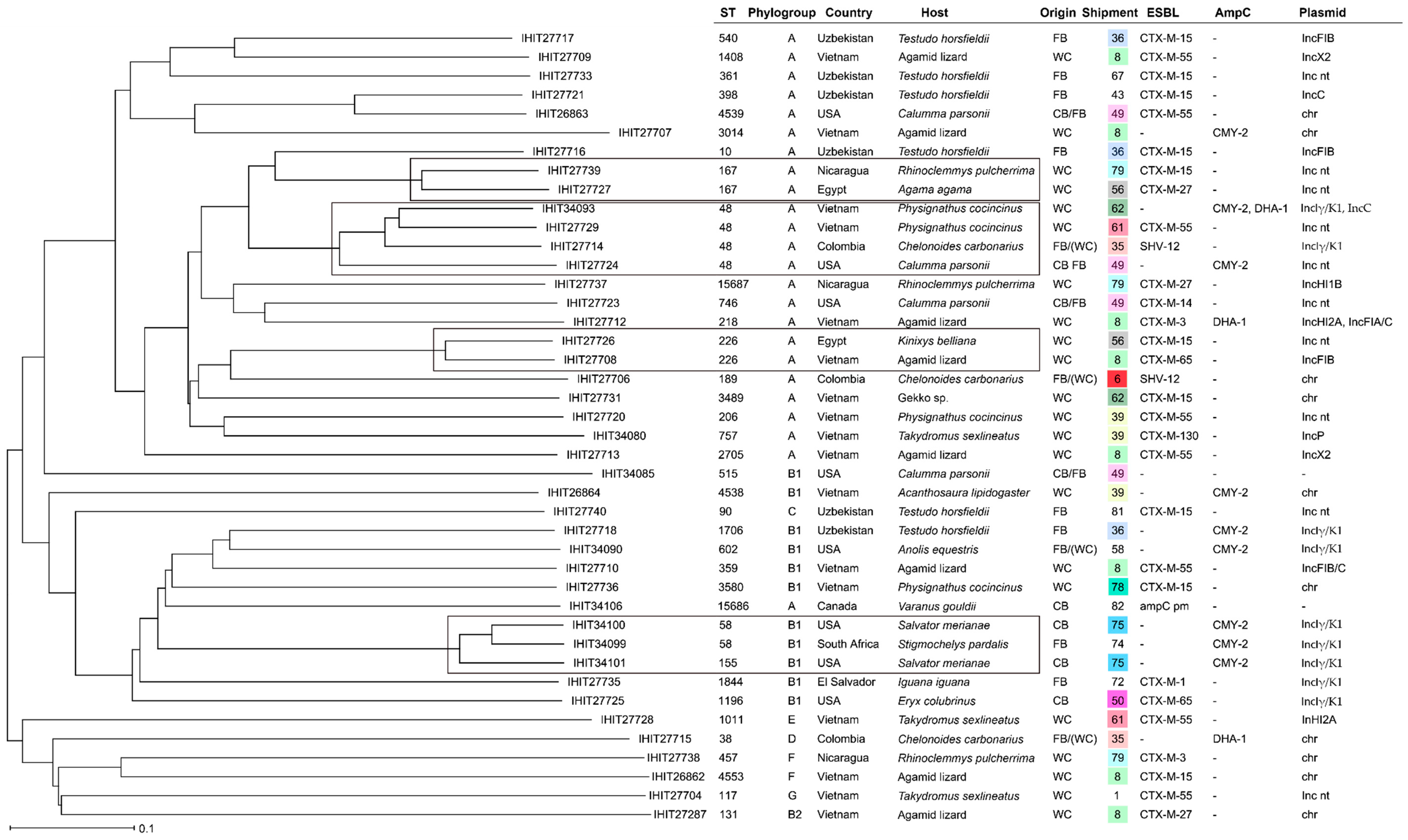 Antibiotics 13 01230 g001