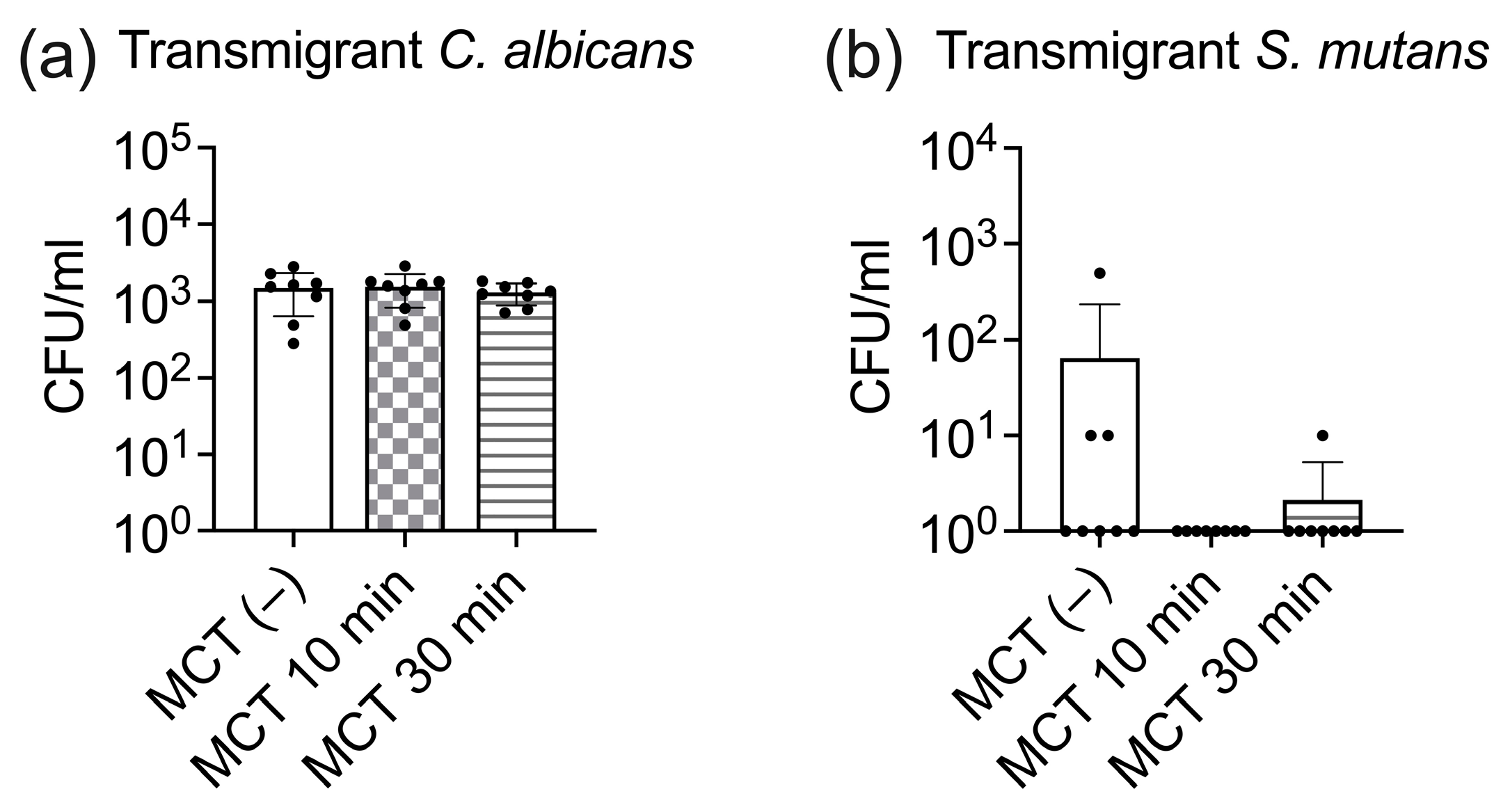 Antibiotics 13 01231 g004