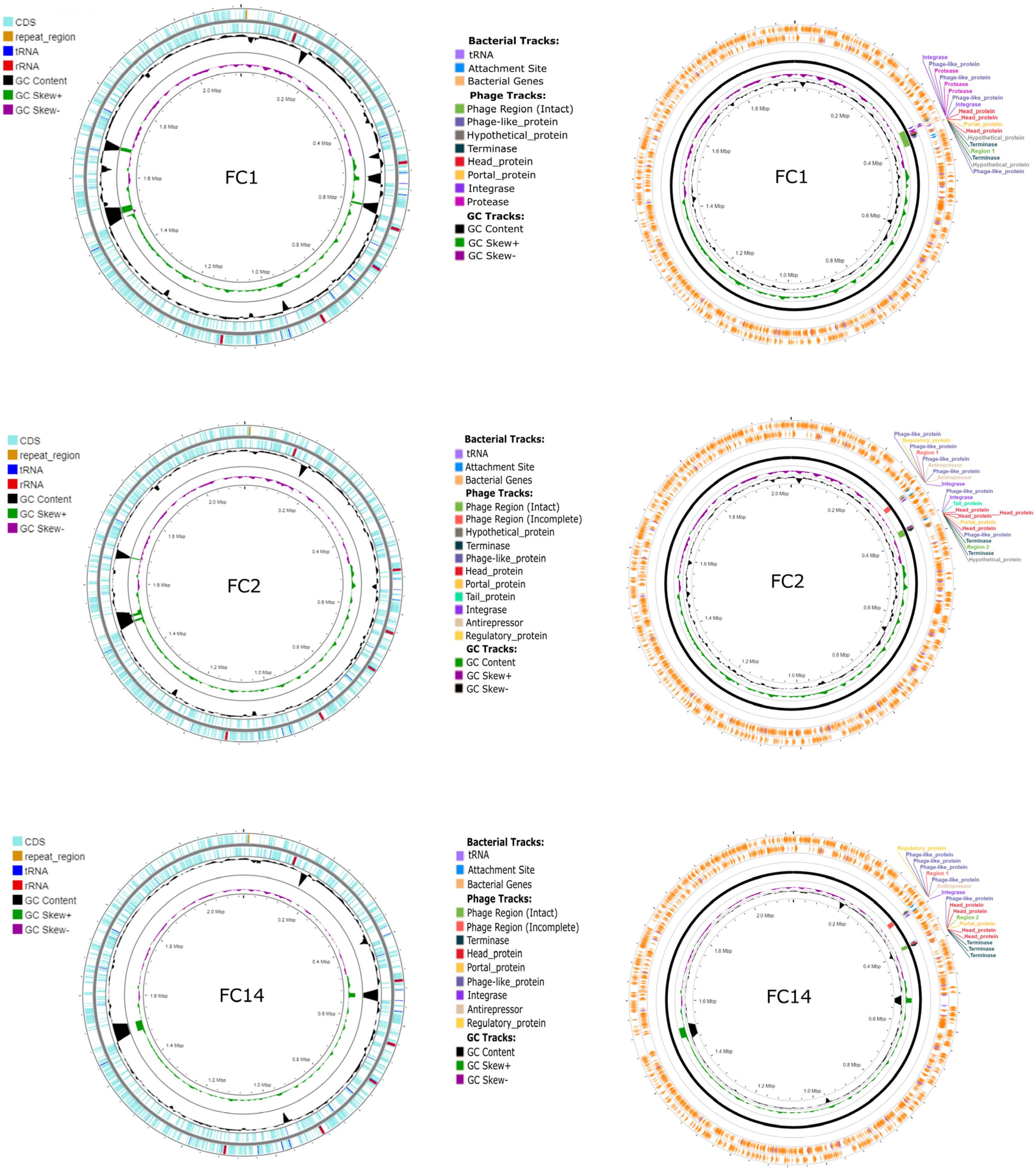 Antibiotics 13 01235 g001 Antibiotics 13 01235 g001