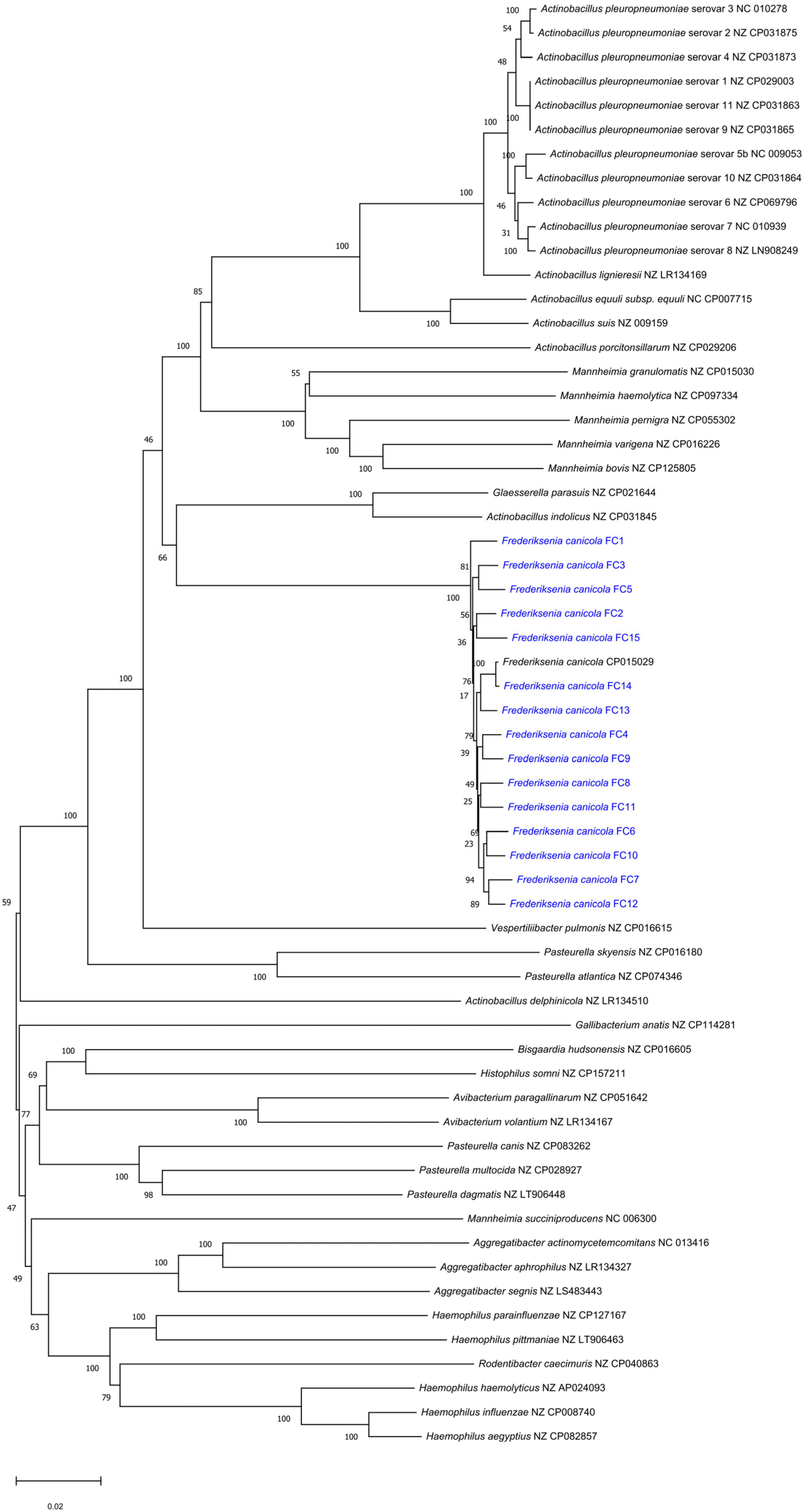 Antibiotics 13 01235 g002 Antibiotics 13 01235 g002