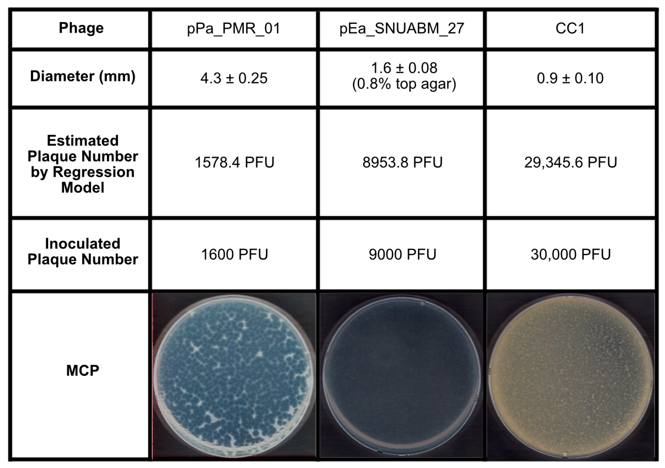 Antibiotics 14 00002 g003